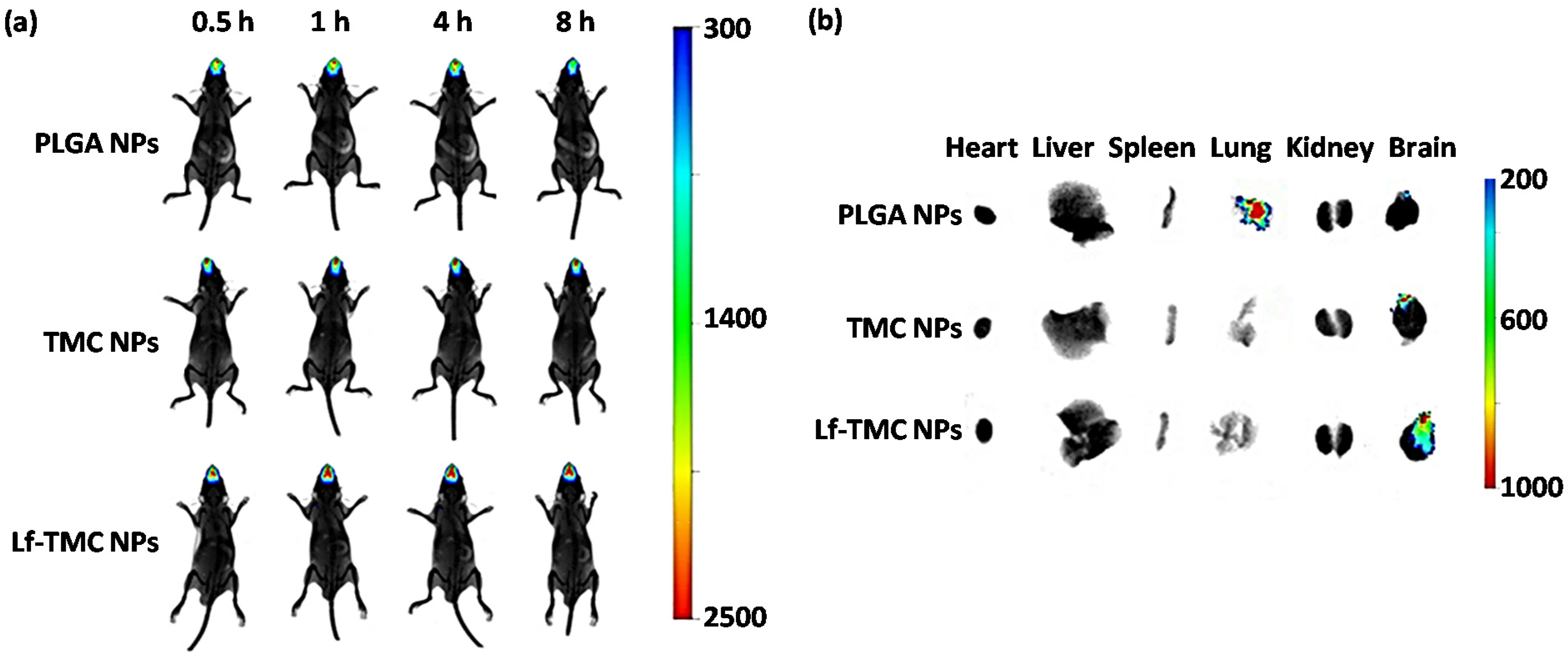 Pharmaceutics 13 02049 g008