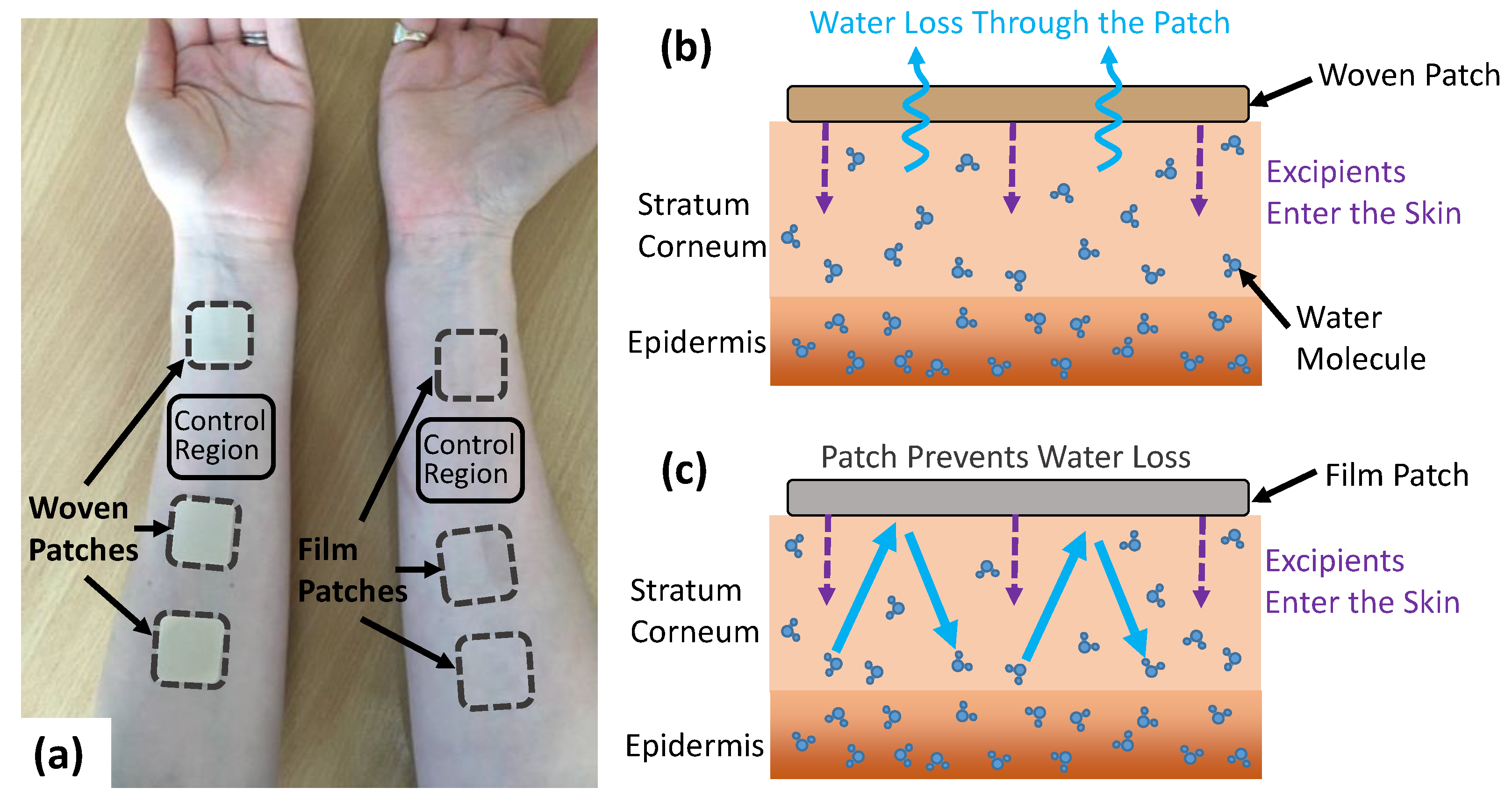 Pharmaceutics 13 02052 g001