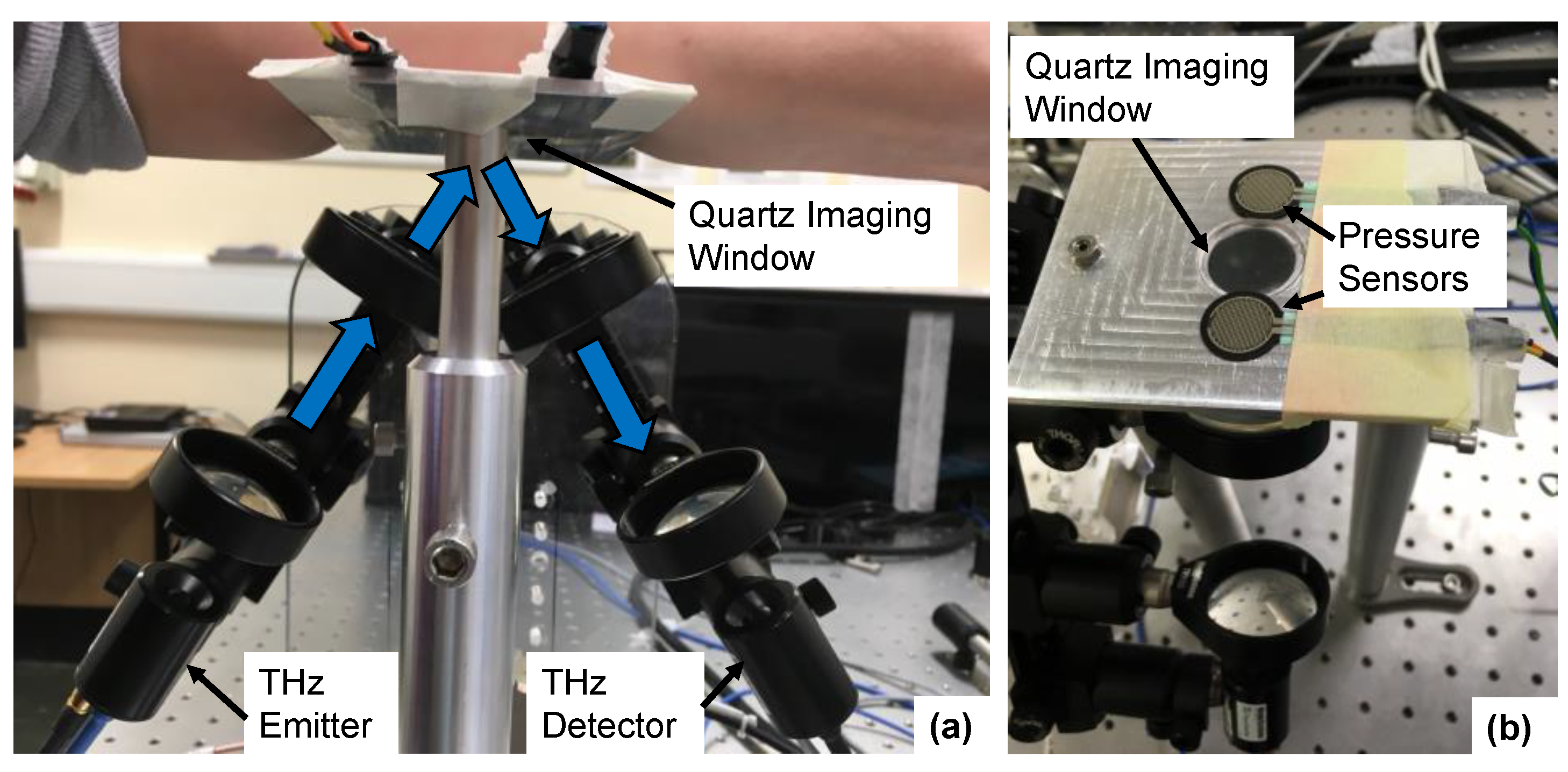Pharmaceutics 13 02052 g002