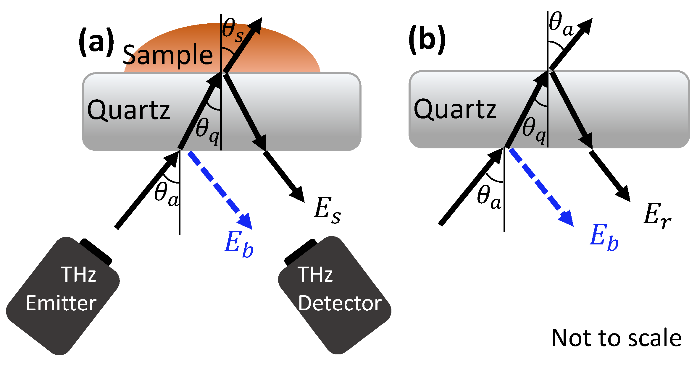 Pharmaceutics 13 02052 g003