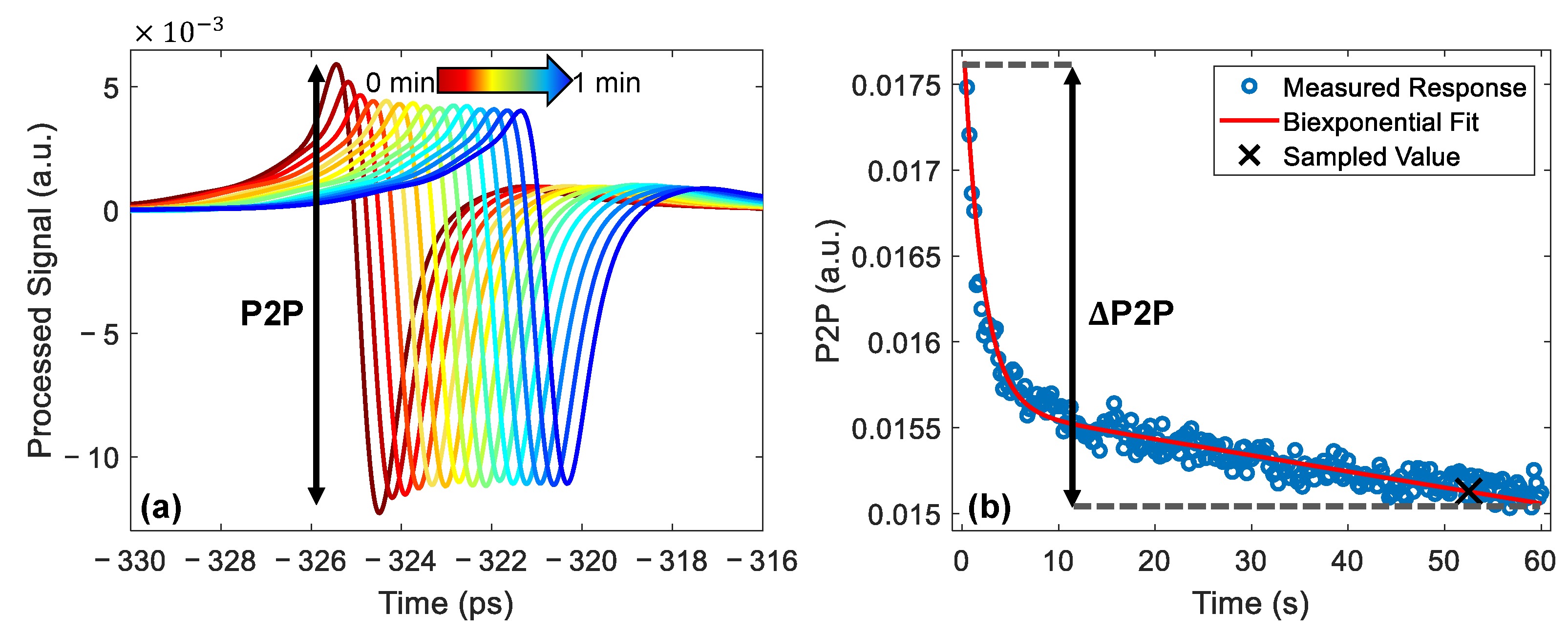 Pharmaceutics 13 02052 g004
