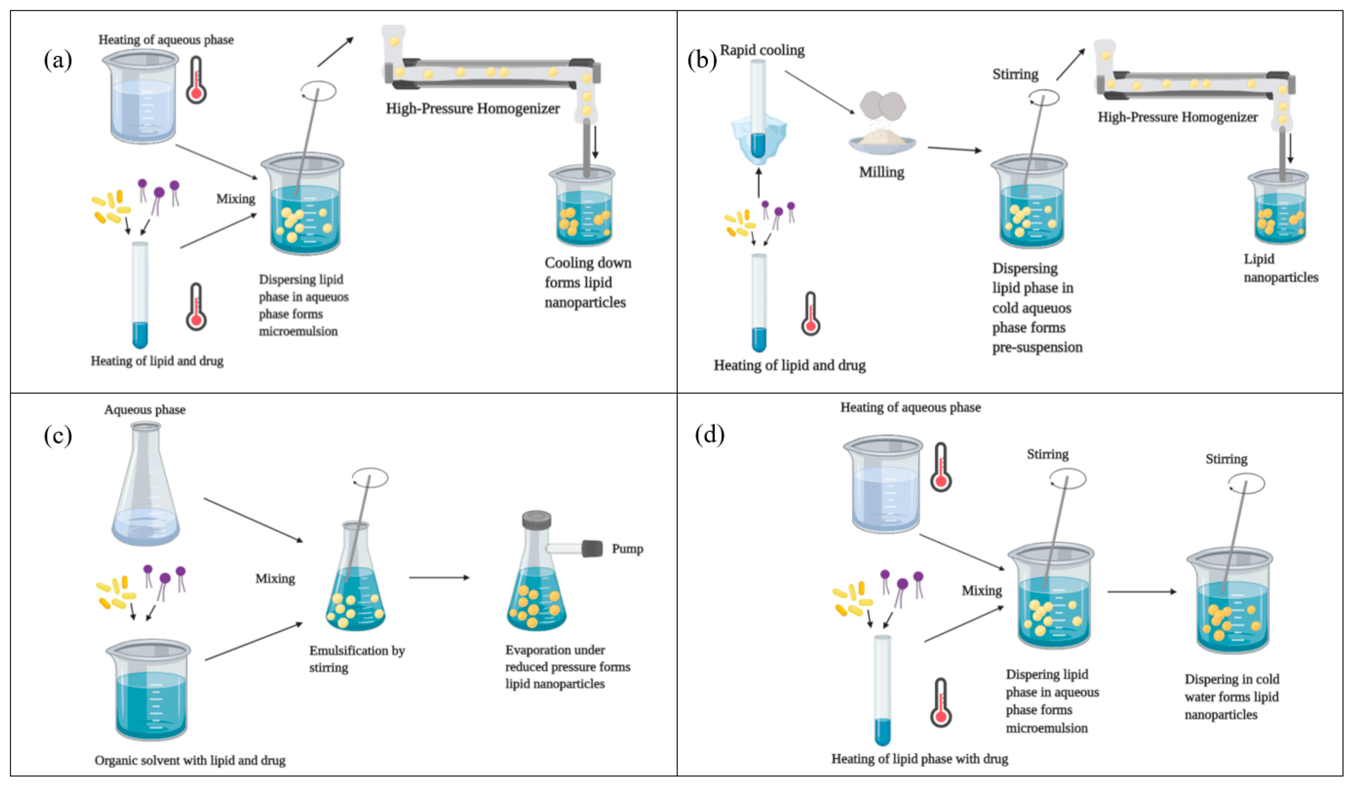 Pharmaceutics 13 02053 g002 Pharmaceutics 13 02053 g002