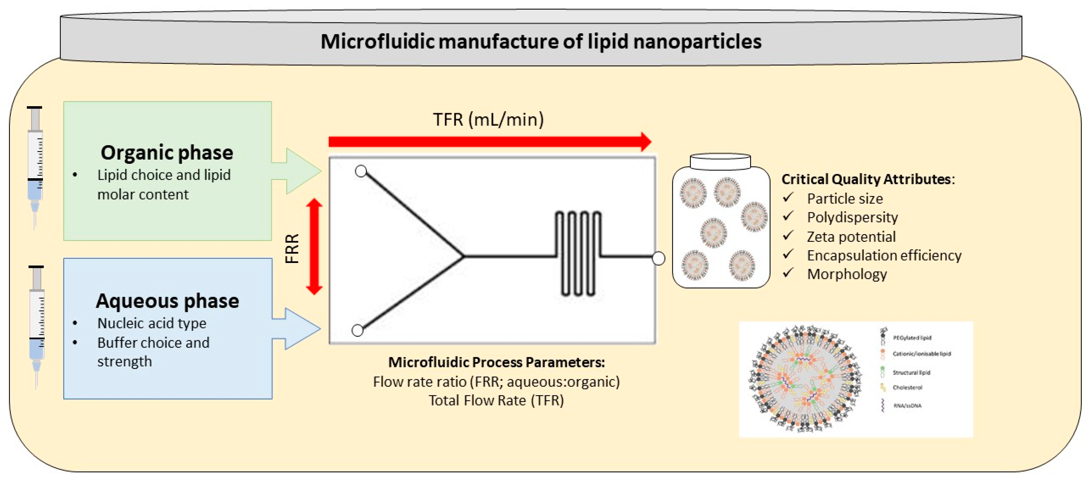 Pharmaceutics 13 02053 g003 Pharmaceutics 13 02053 g003
