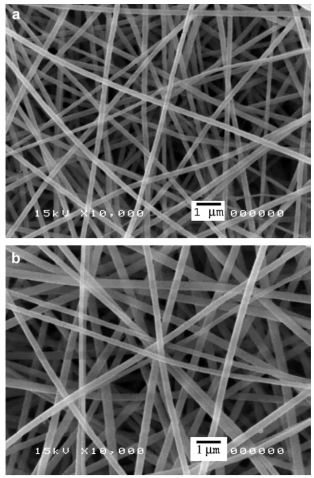 Pharmaceutics 13 02054 g002