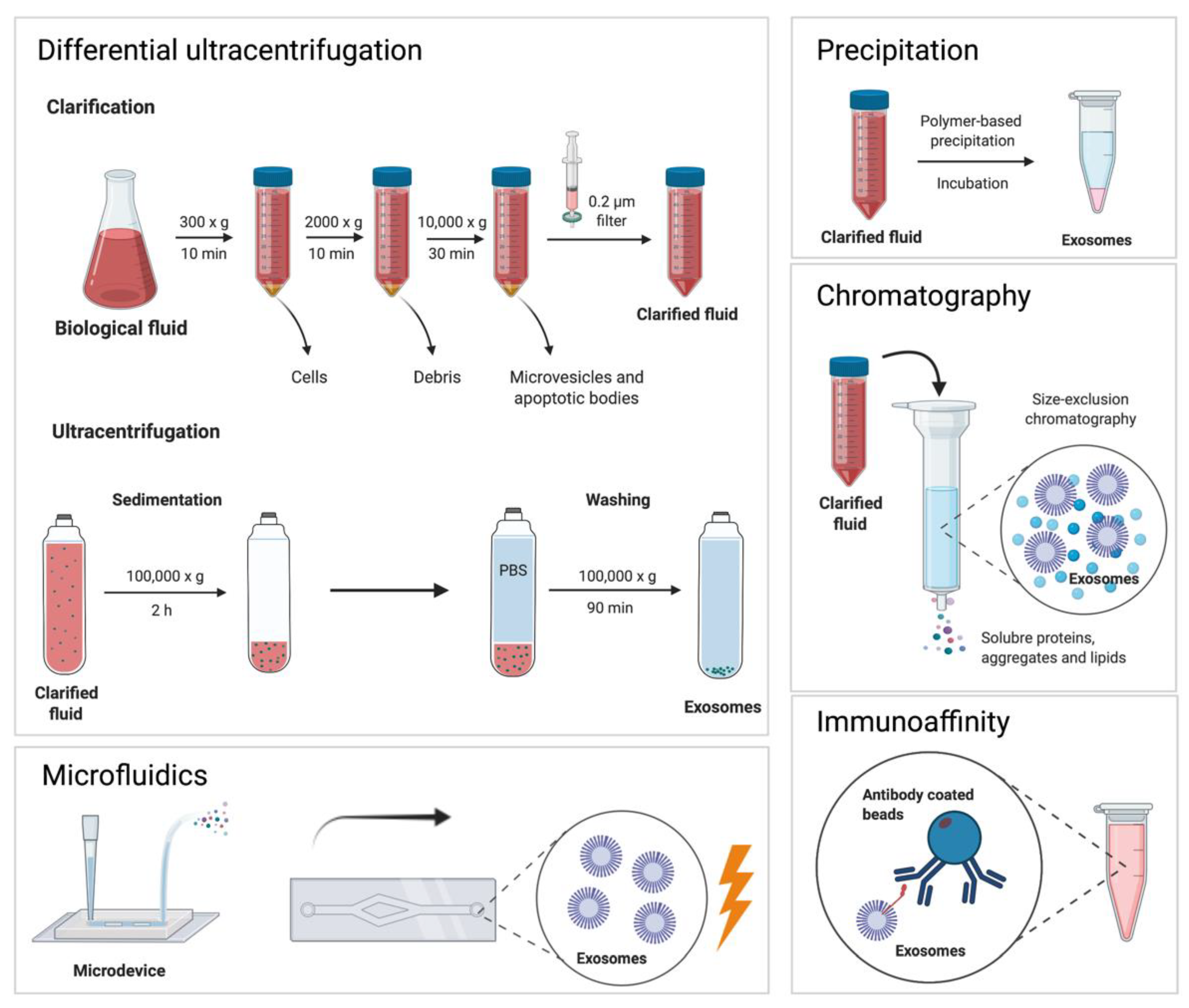 Pharmaceutics 13 02056 g002