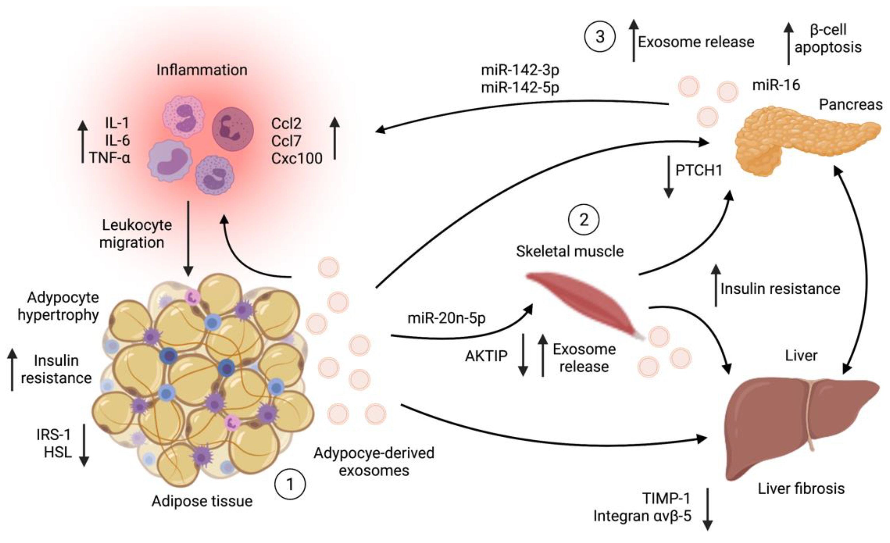 Pharmaceutics 13 02056 g003