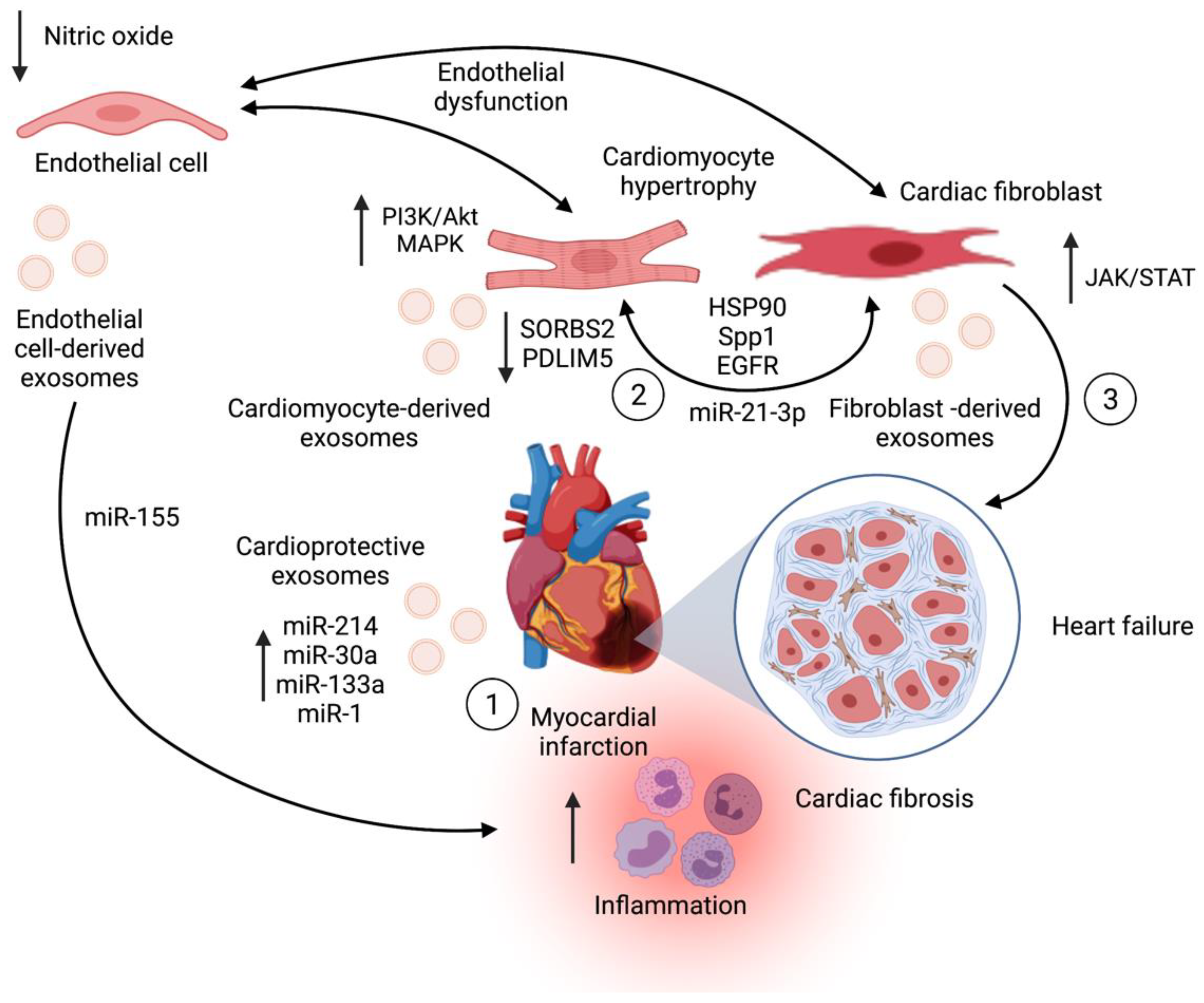 Pharmaceutics 13 02056 g004