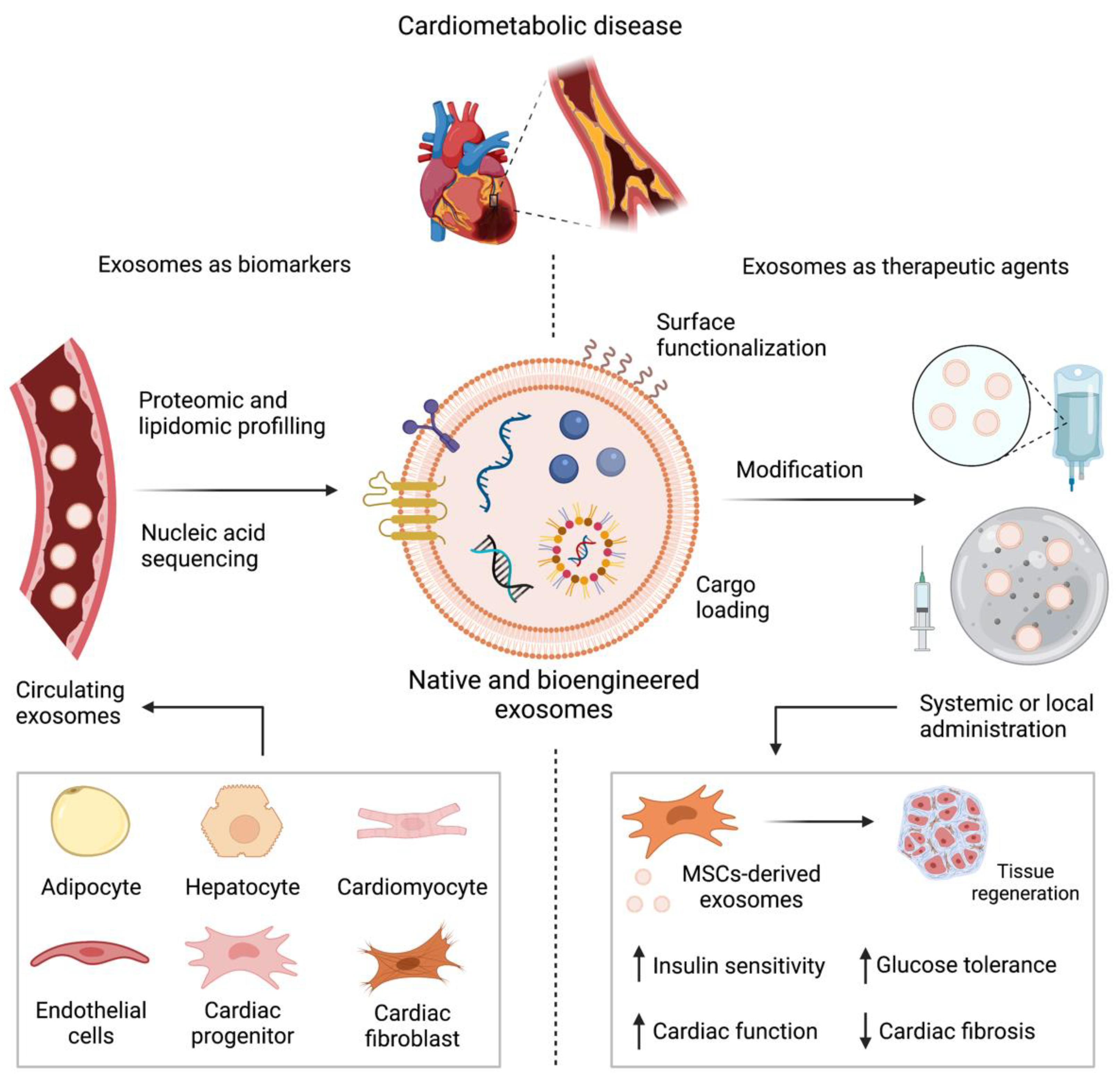 Pharmaceutics 13 02056 g005