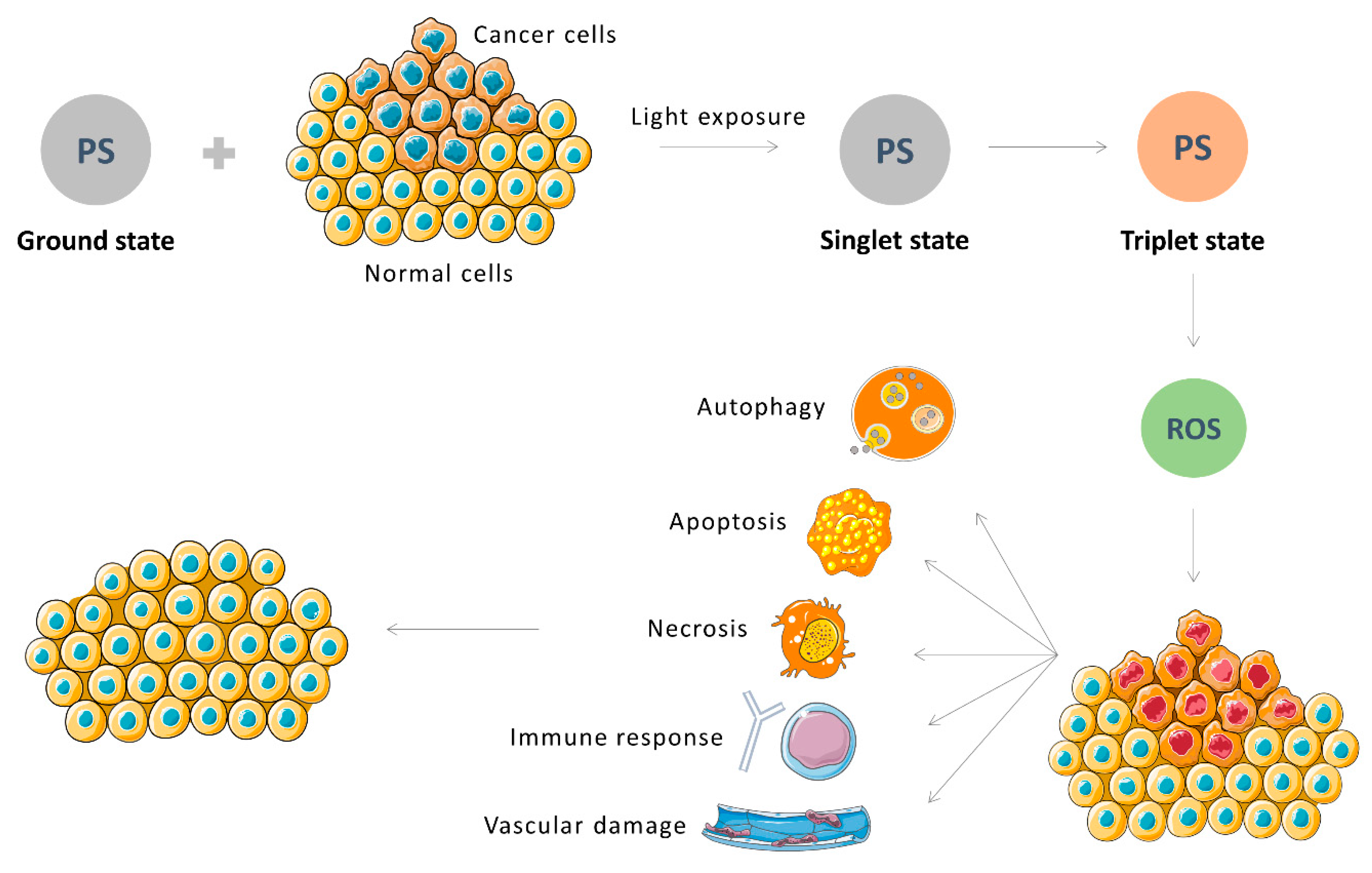Pharmaceutics 13 02057 g001 Pharmaceutics 13 02057 g001