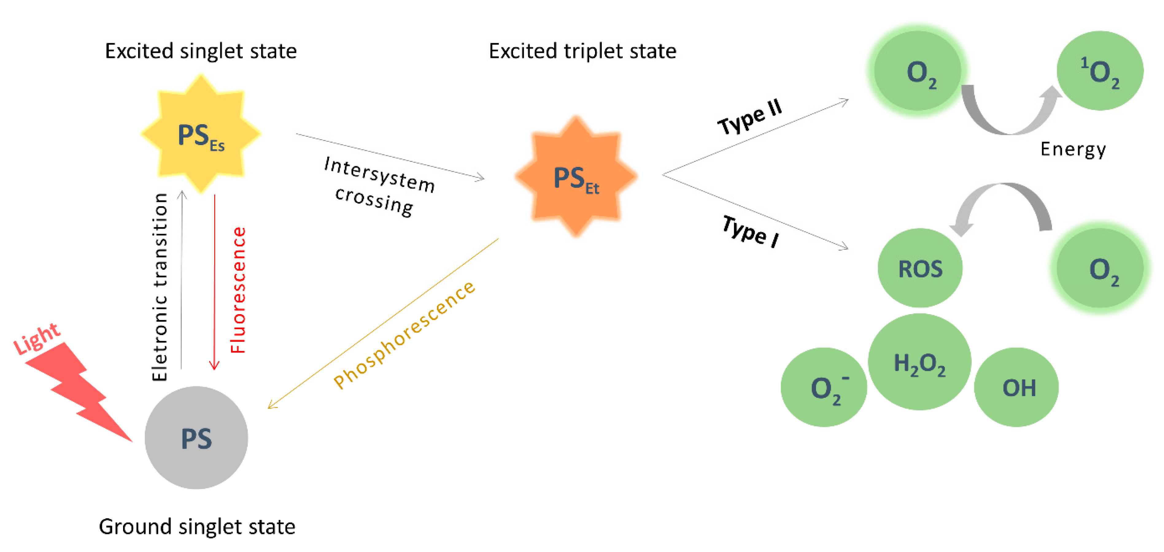 Pharmaceutics 13 02057 sch001 Pharmaceutics 13 02057 sch001