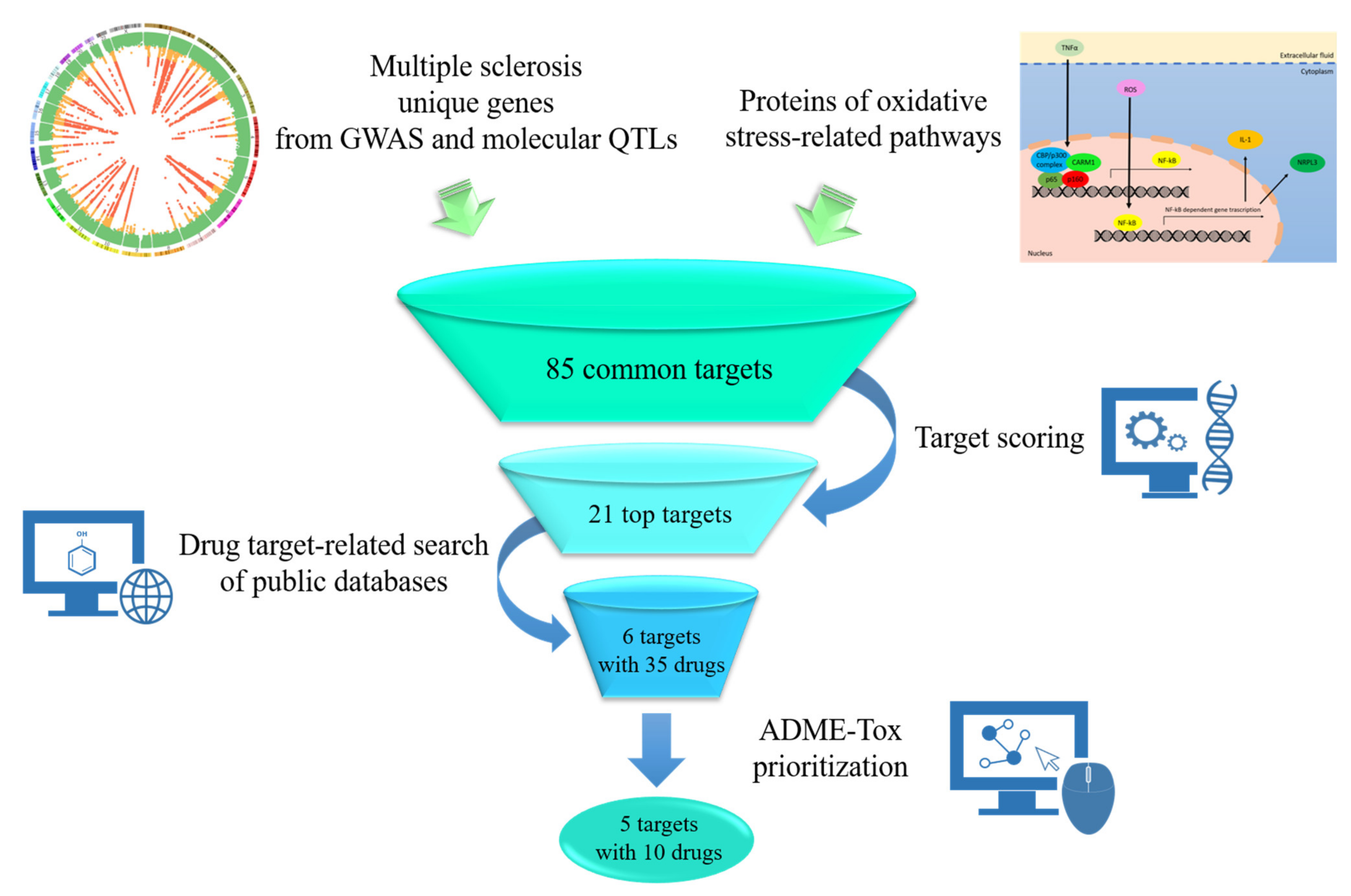 Pharmaceutics 13 02064 g001