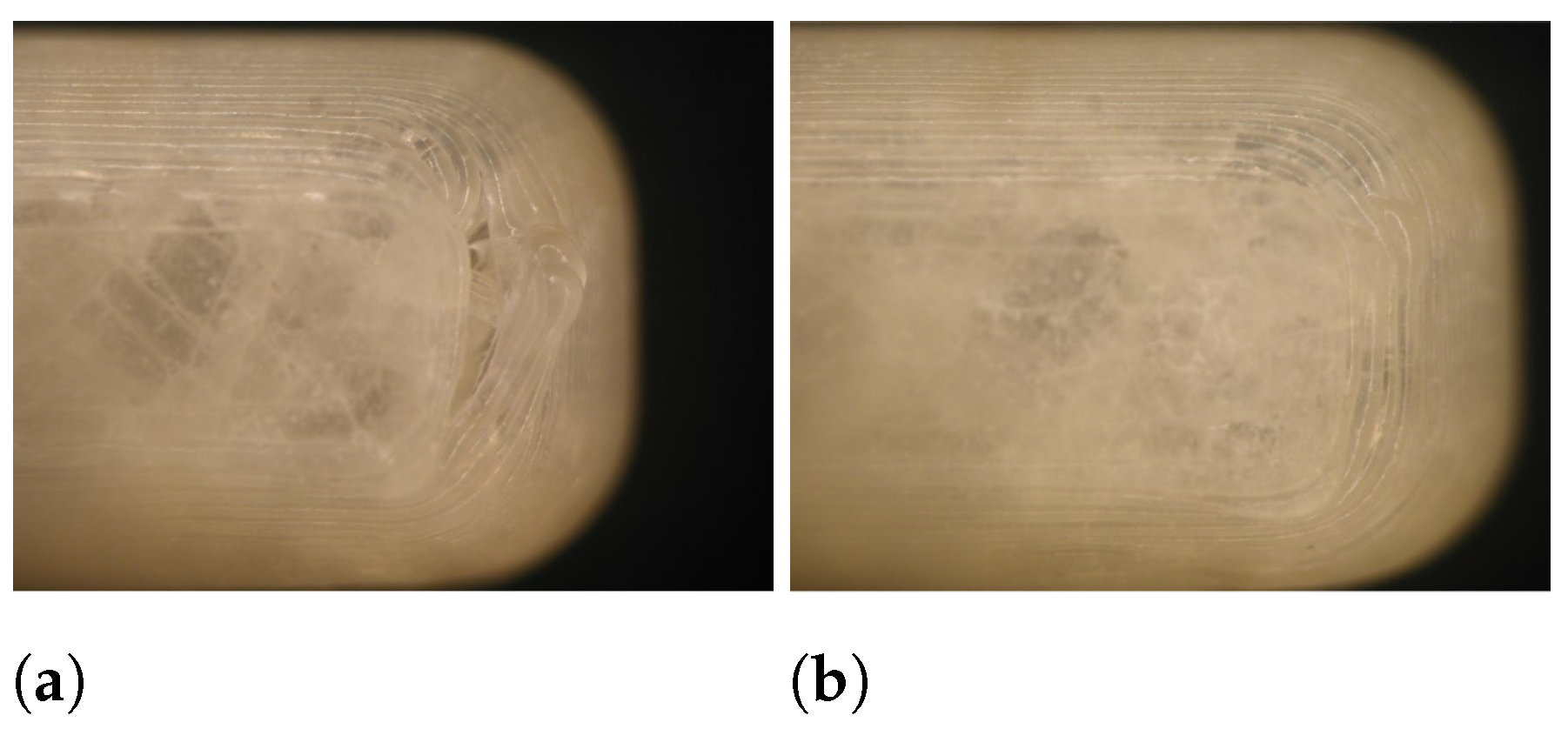 Pharmaceutics 13 02068 g012
