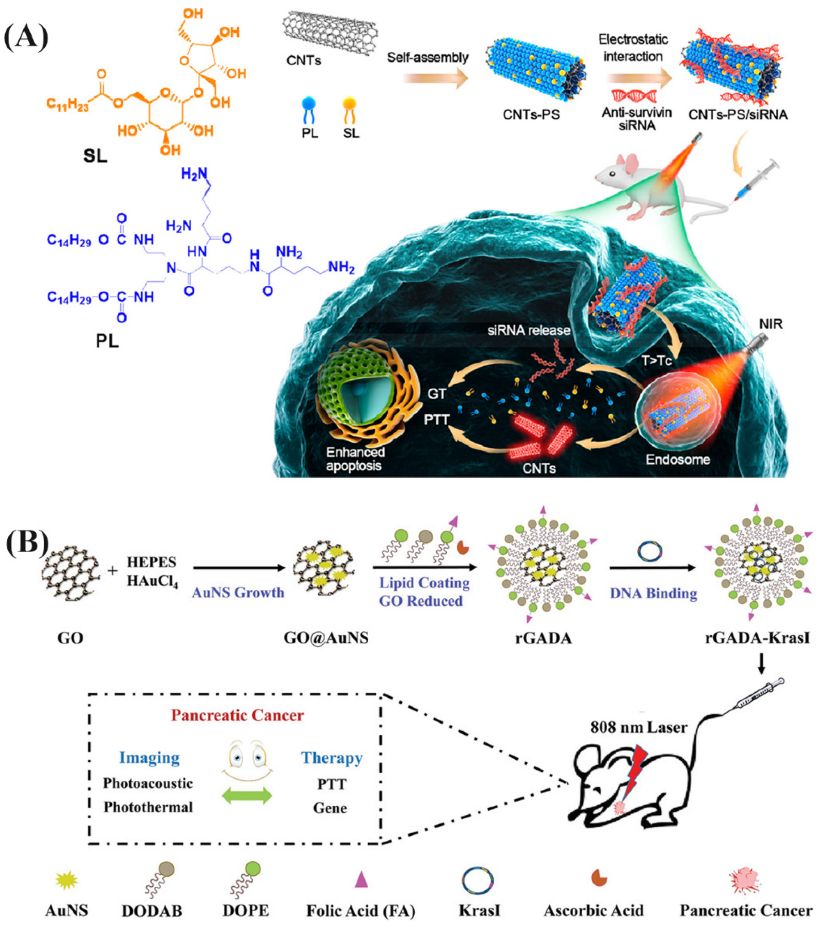 Pharmaceutics 13 02070 g007 Pharmaceutics 13 02070 g007