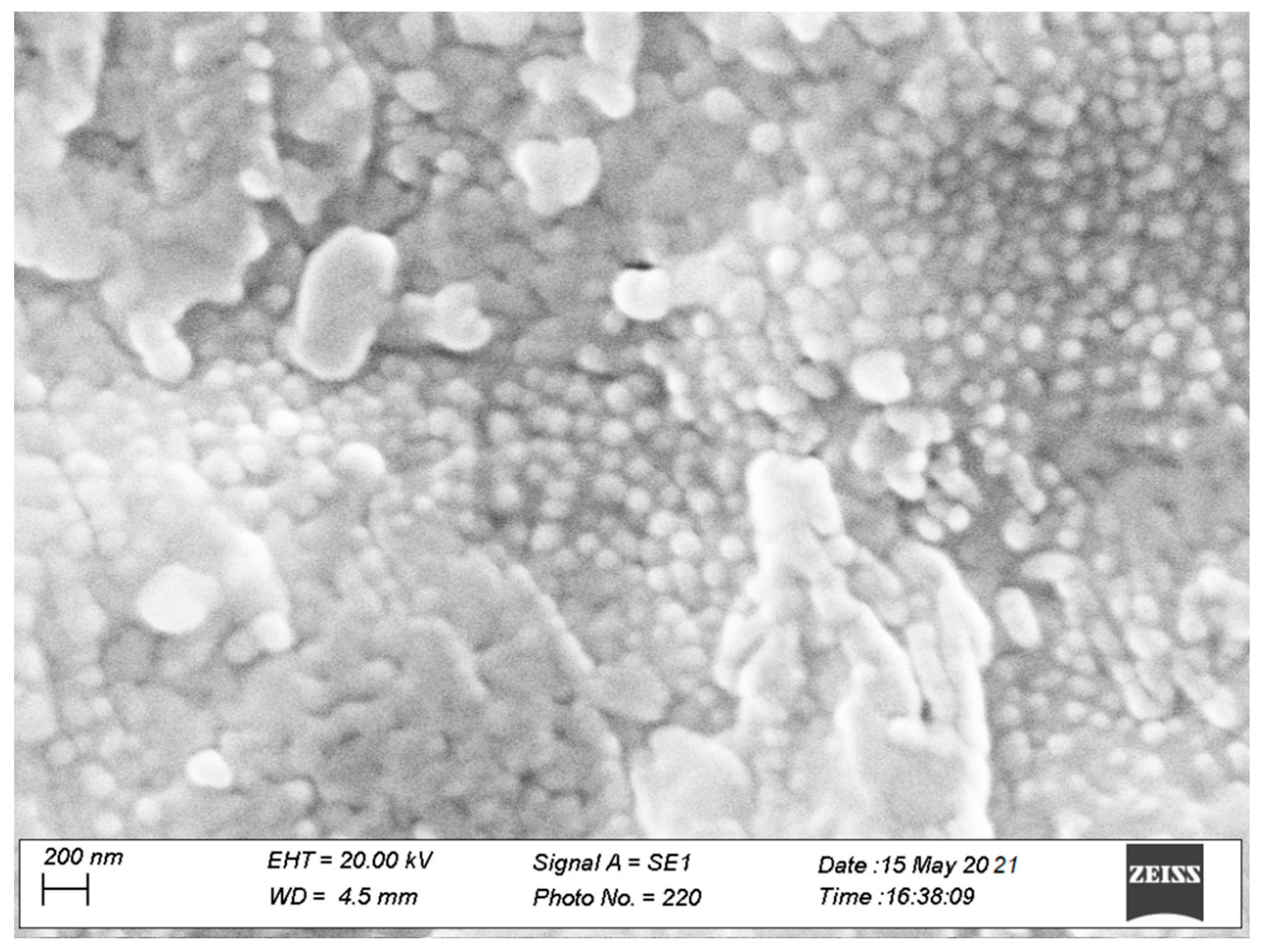 Pharmaceutics 13 02072 g002