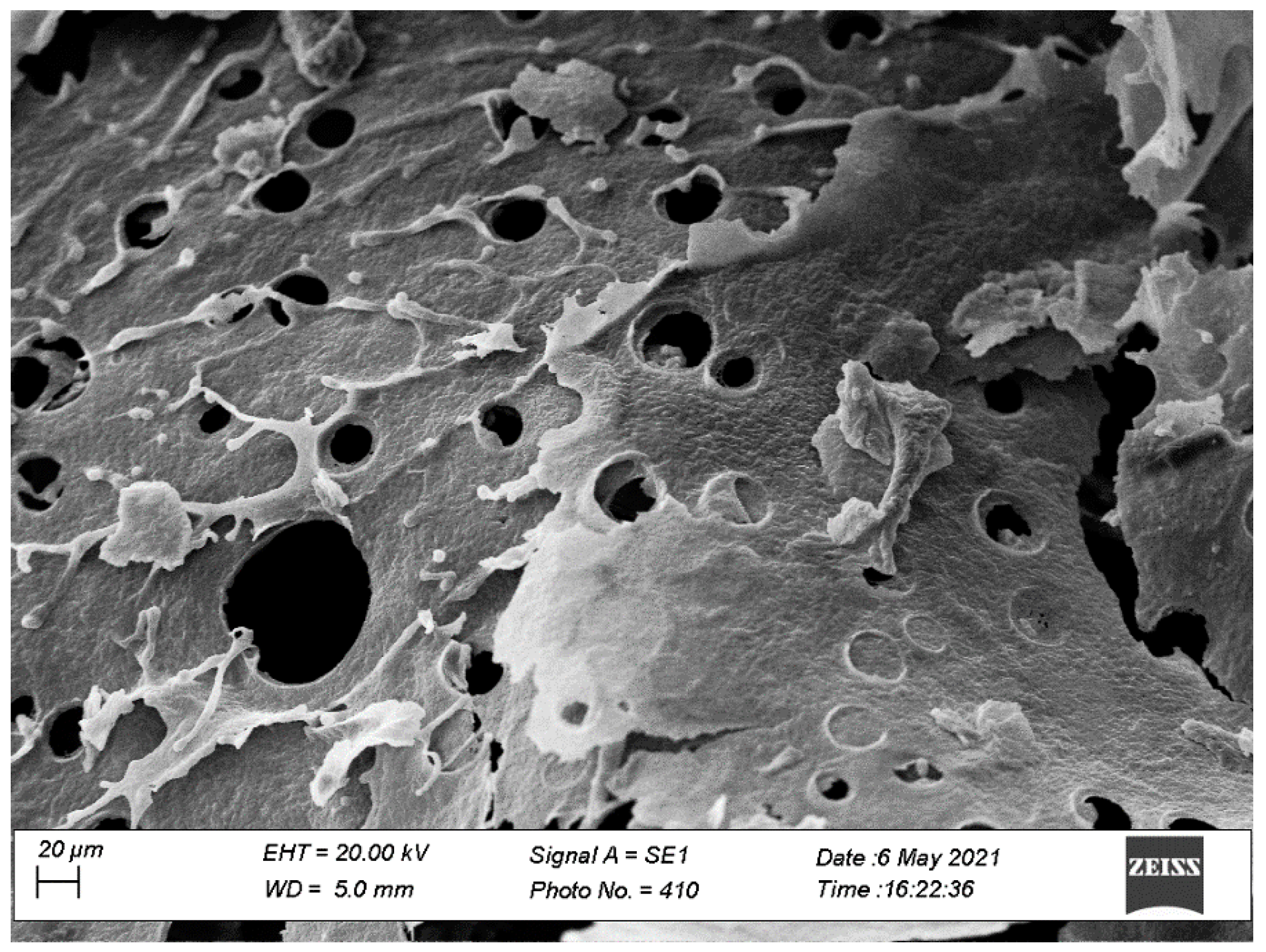 Pharmaceutics 13 02072 g004