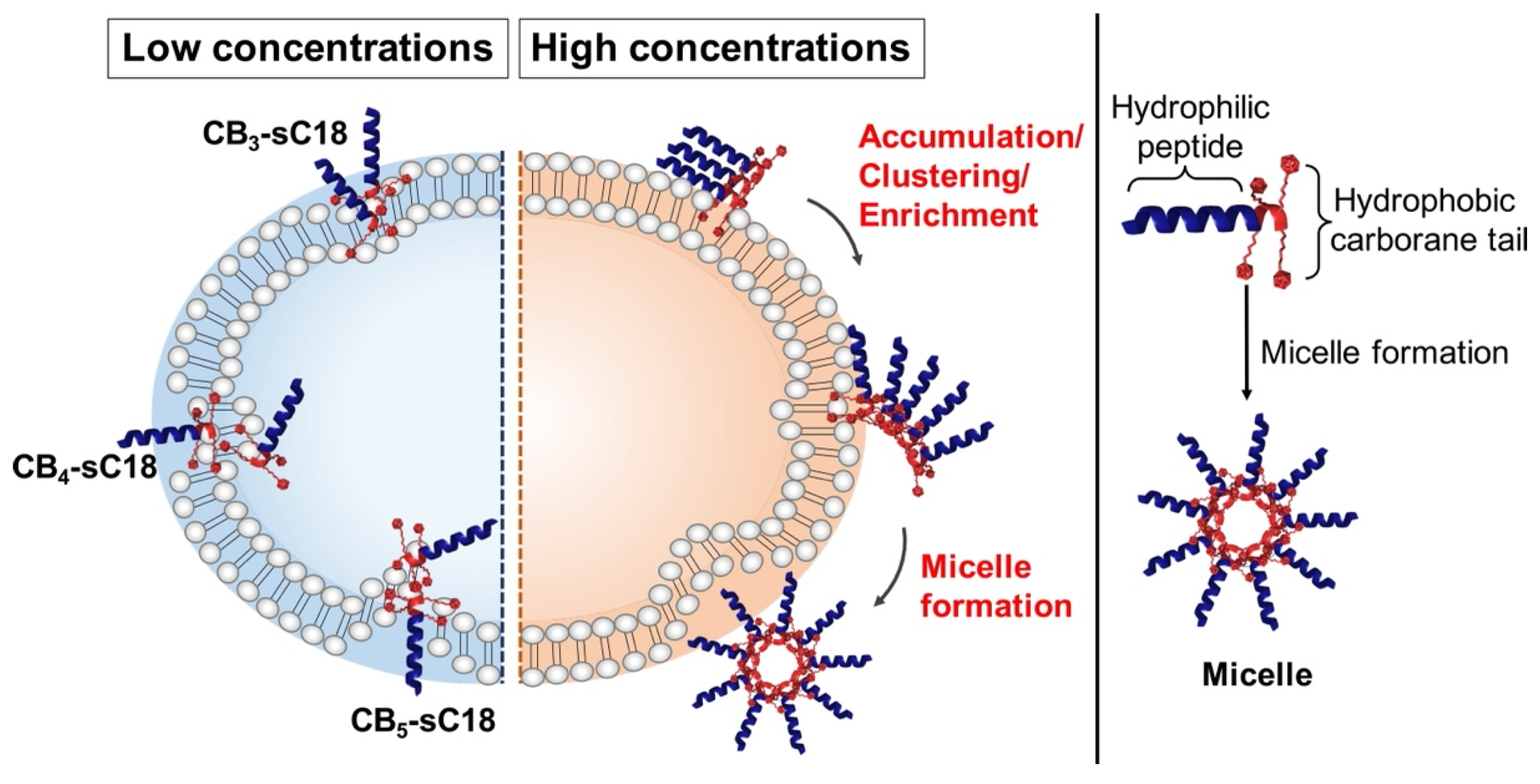 Pharmaceutics 13 02075 g005