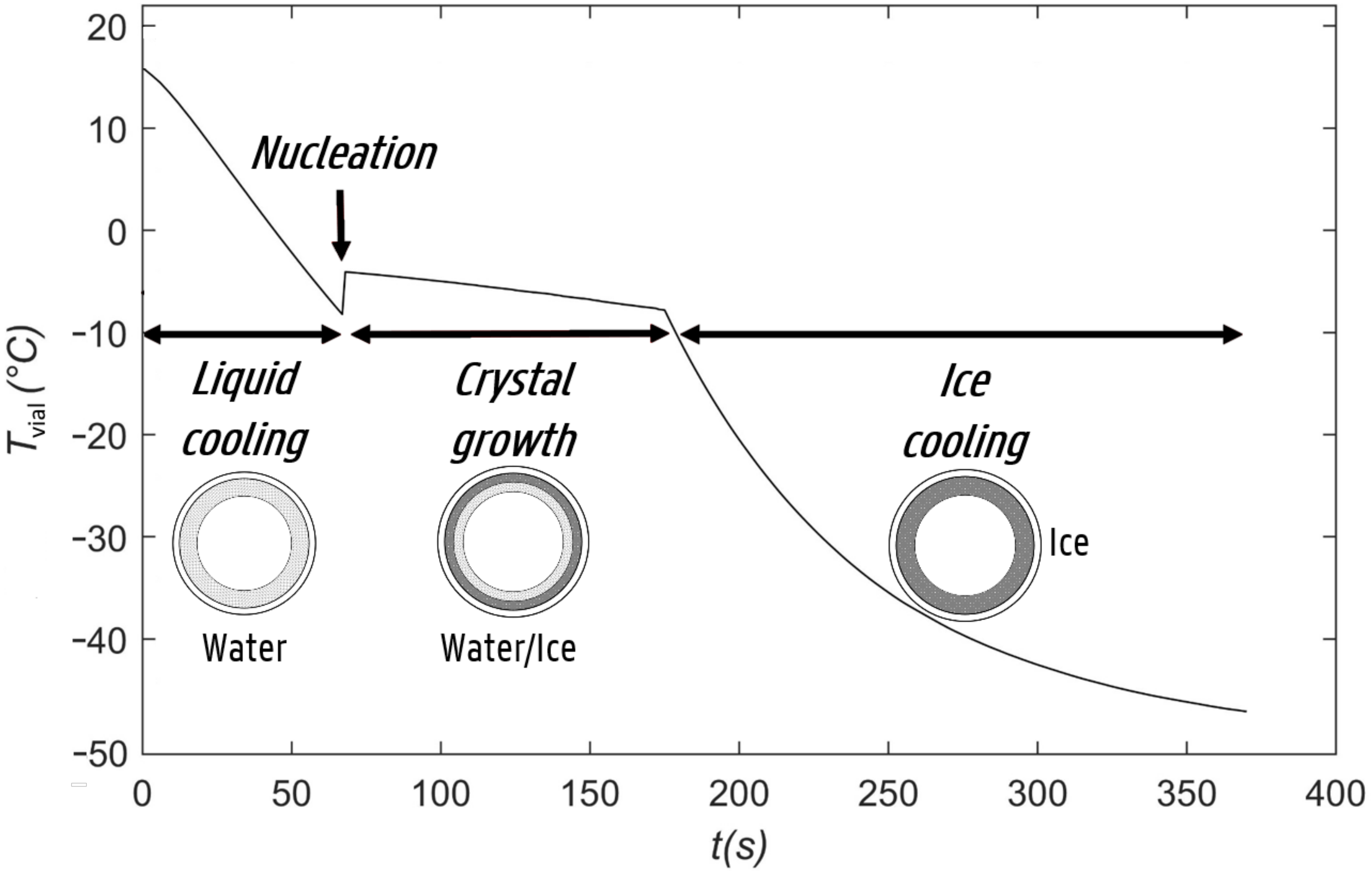 Pharmaceutics 13 02076 g001