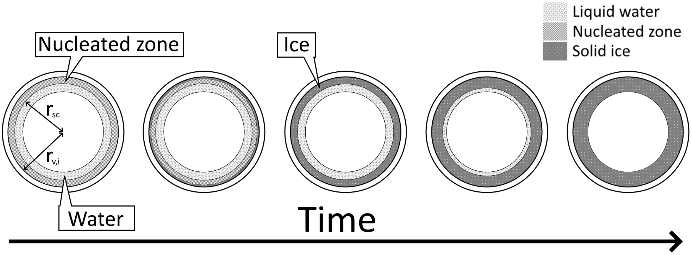 Pharmaceutics 13 02076 g004