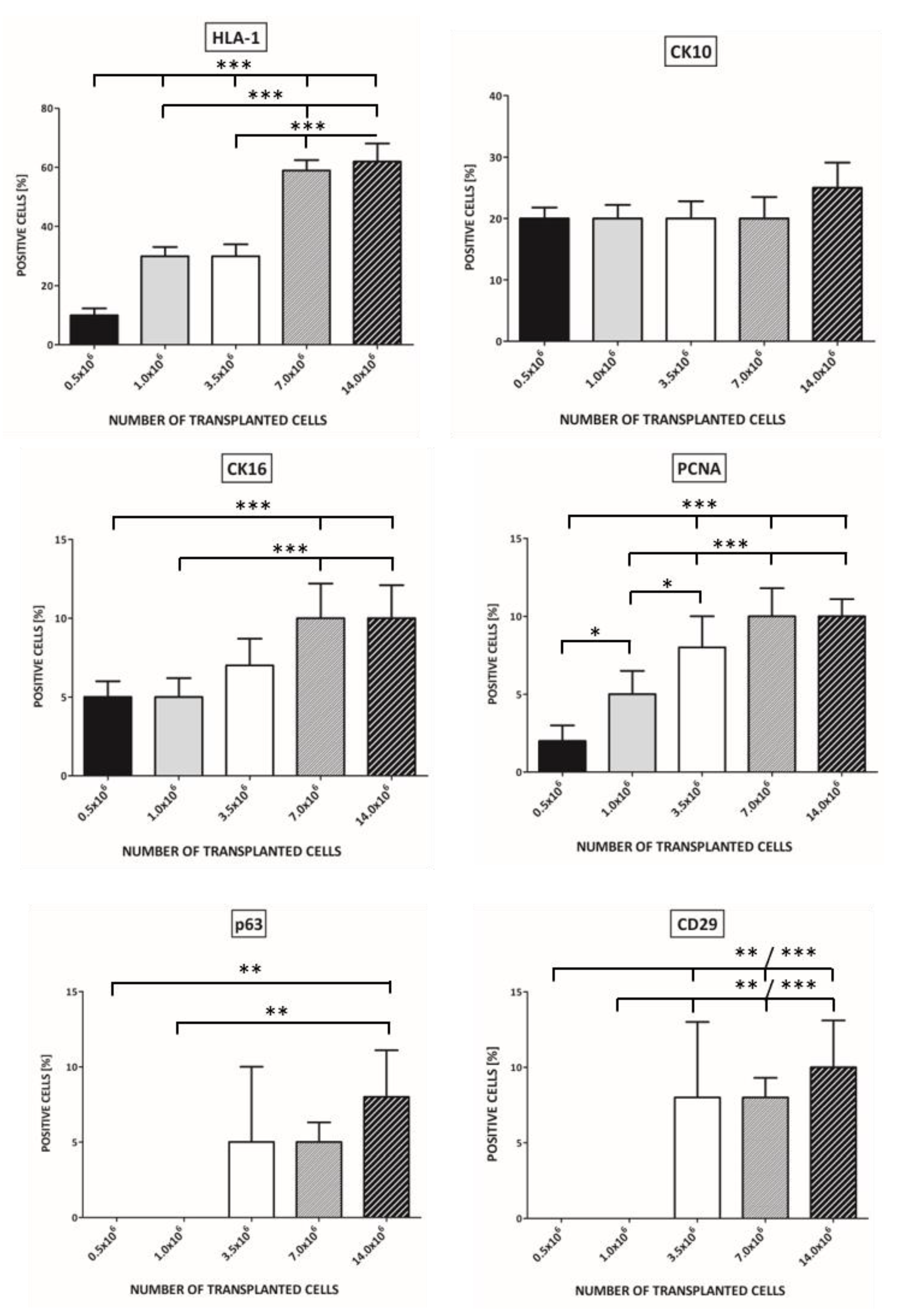 Pharmaceutics 13 02078 g003