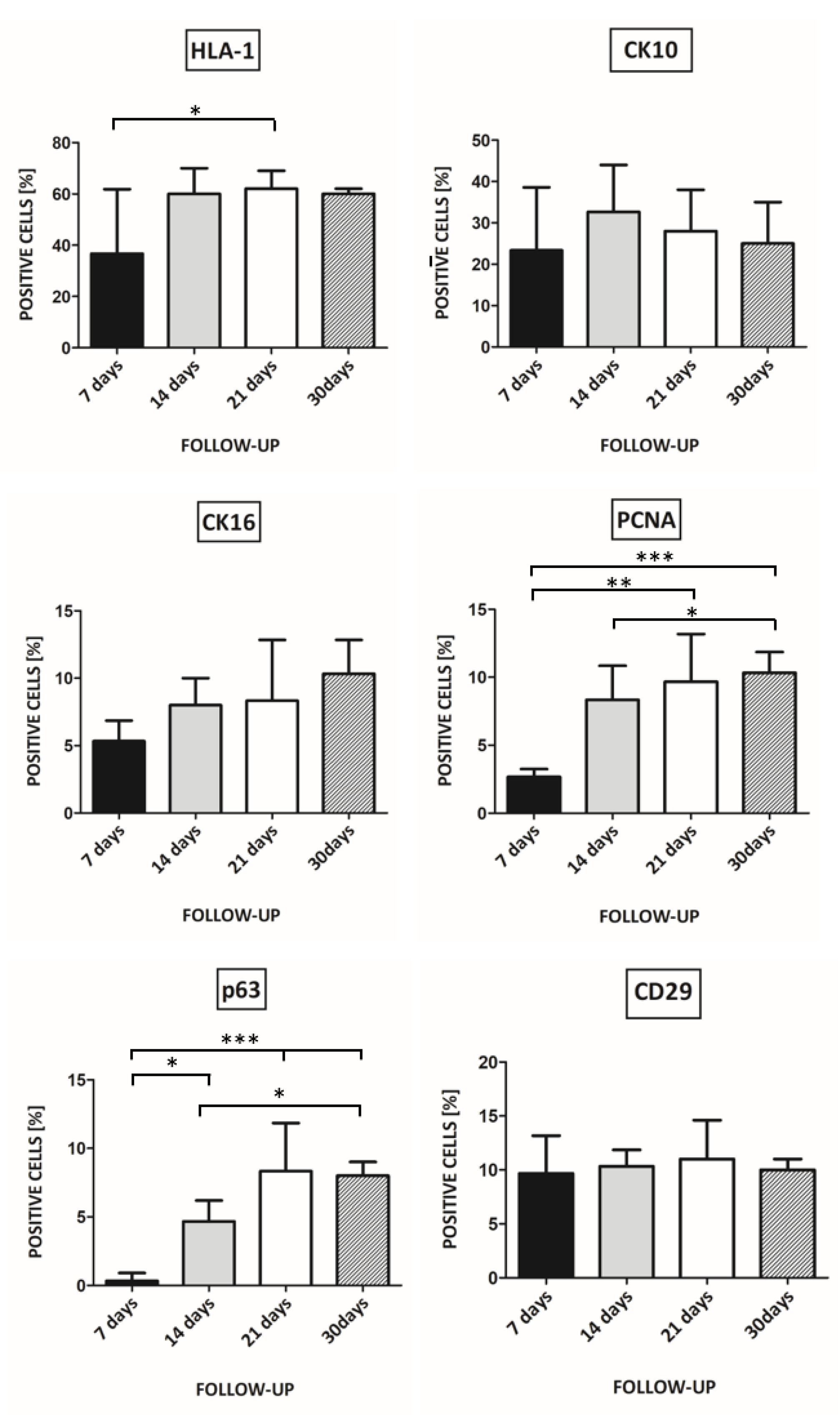 Pharmaceutics 13 02078 g004