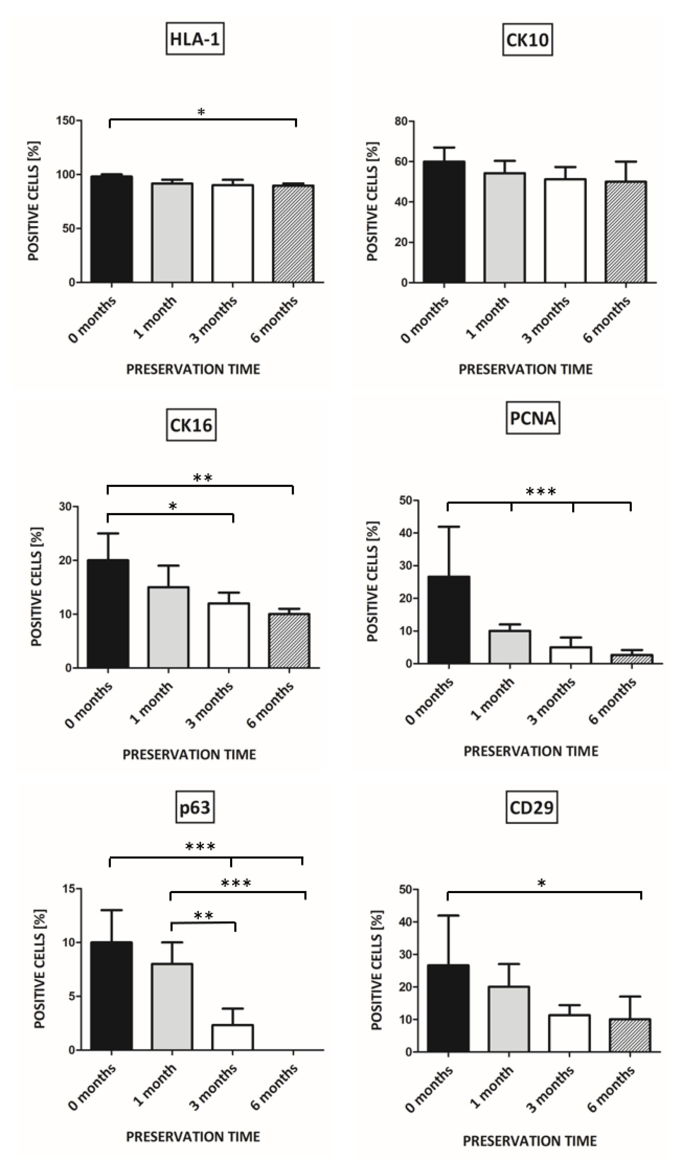 Pharmaceutics 13 02078 g006