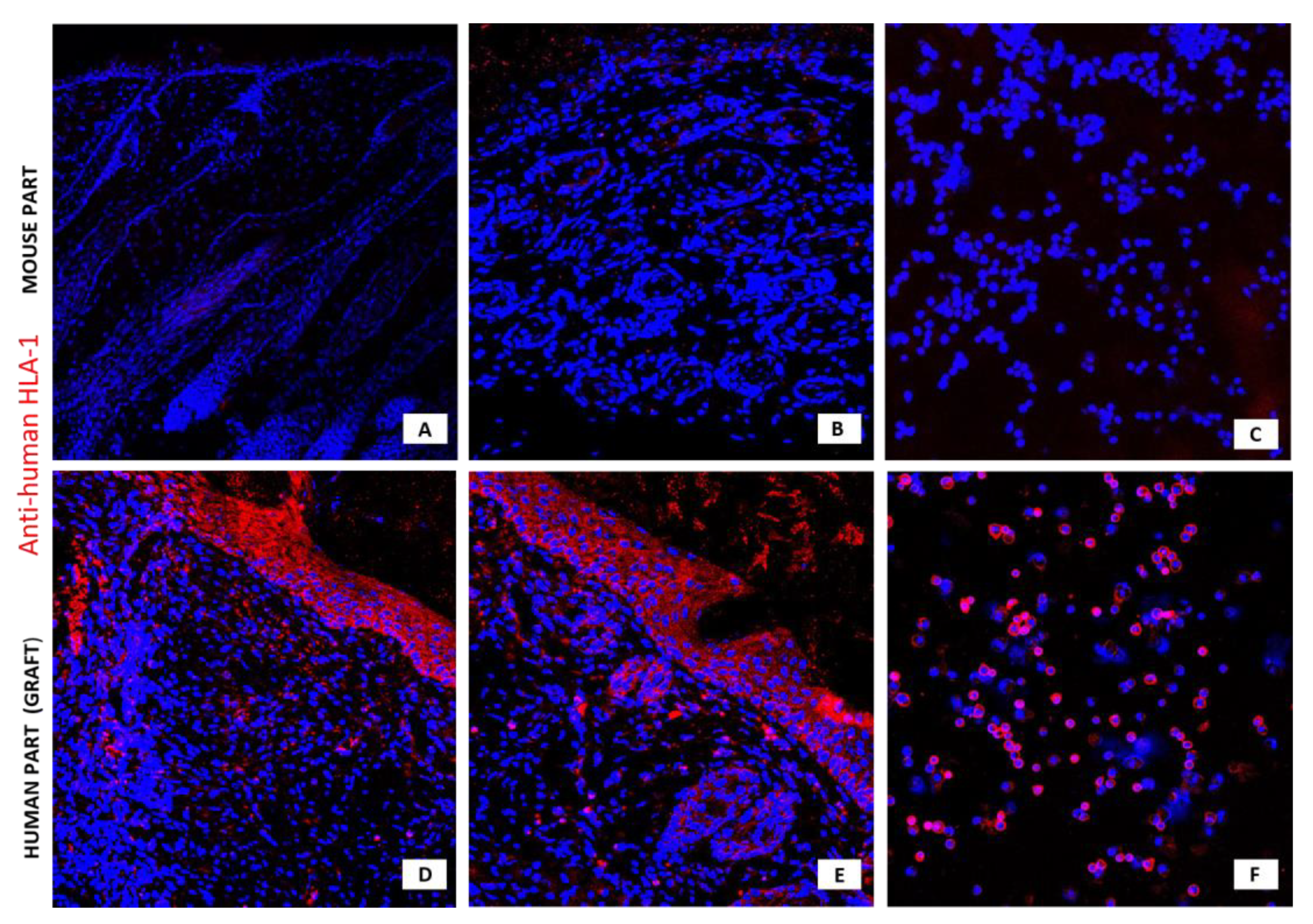 Pharmaceutics 13 02078 g007