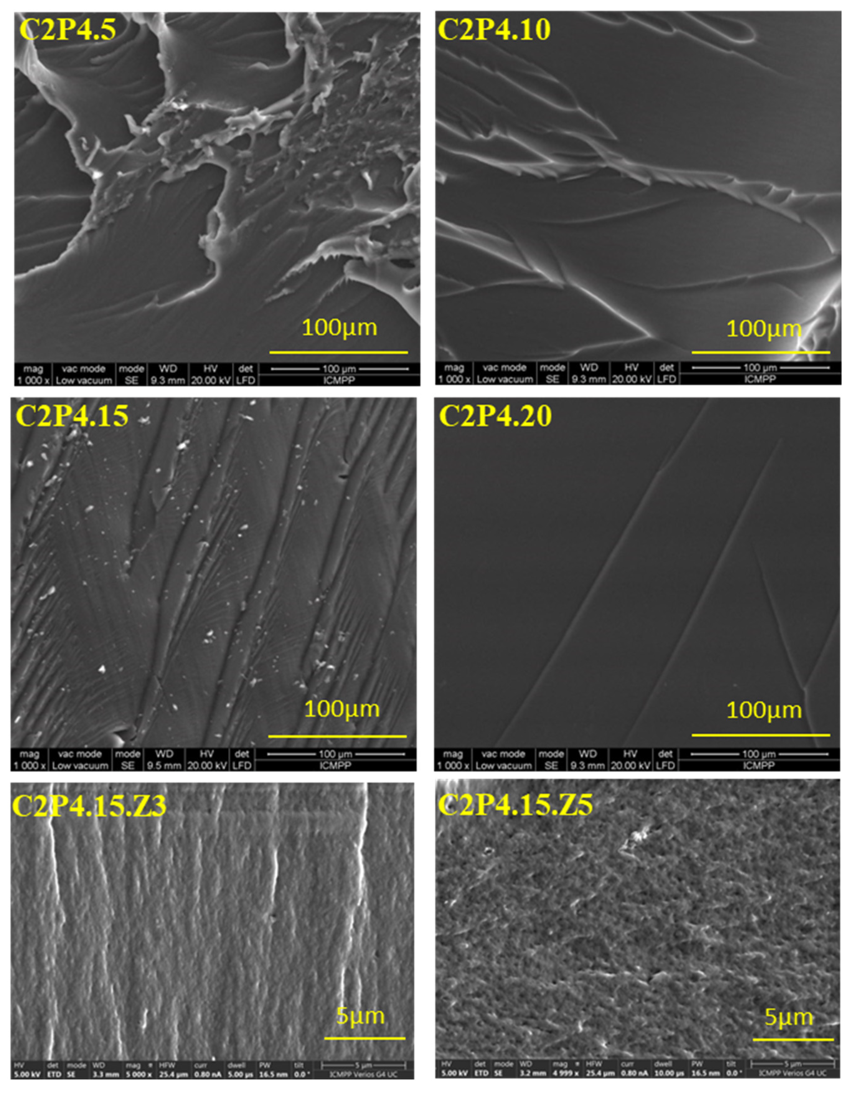 Pharmaceutics 13 02079 g005