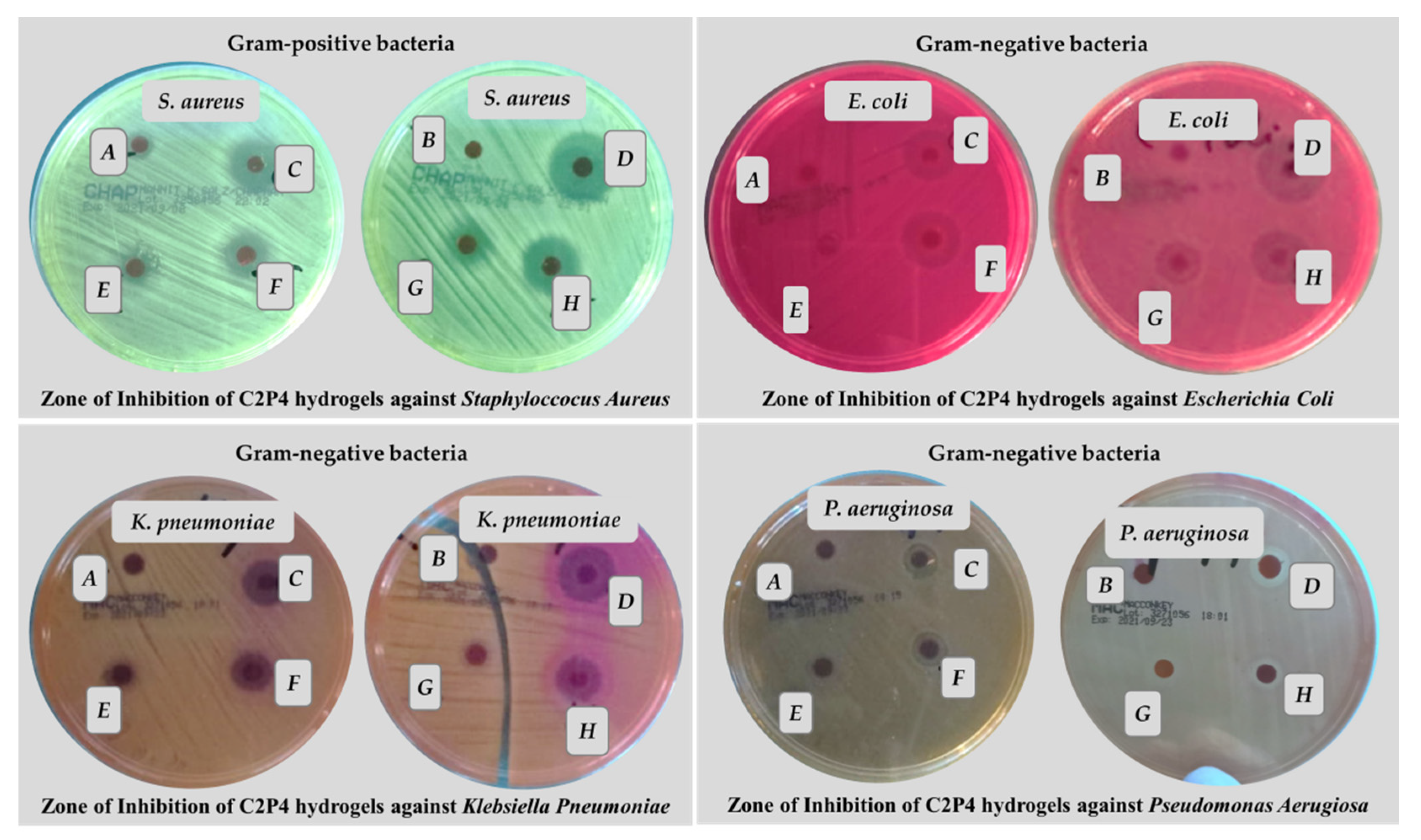 Pharmaceutics 13 02079 g010