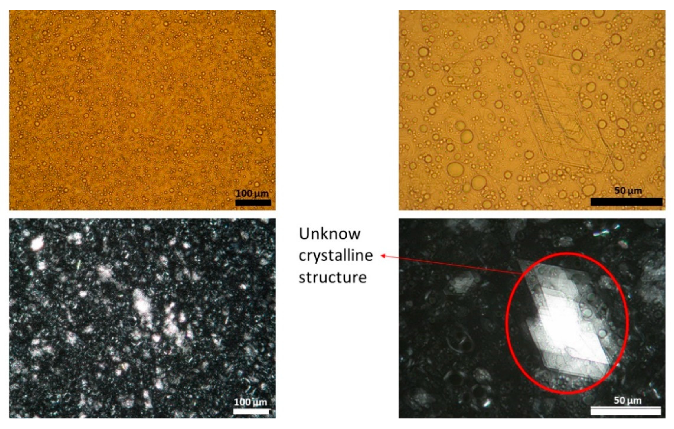 Pharmaceutics 13 02083 g002