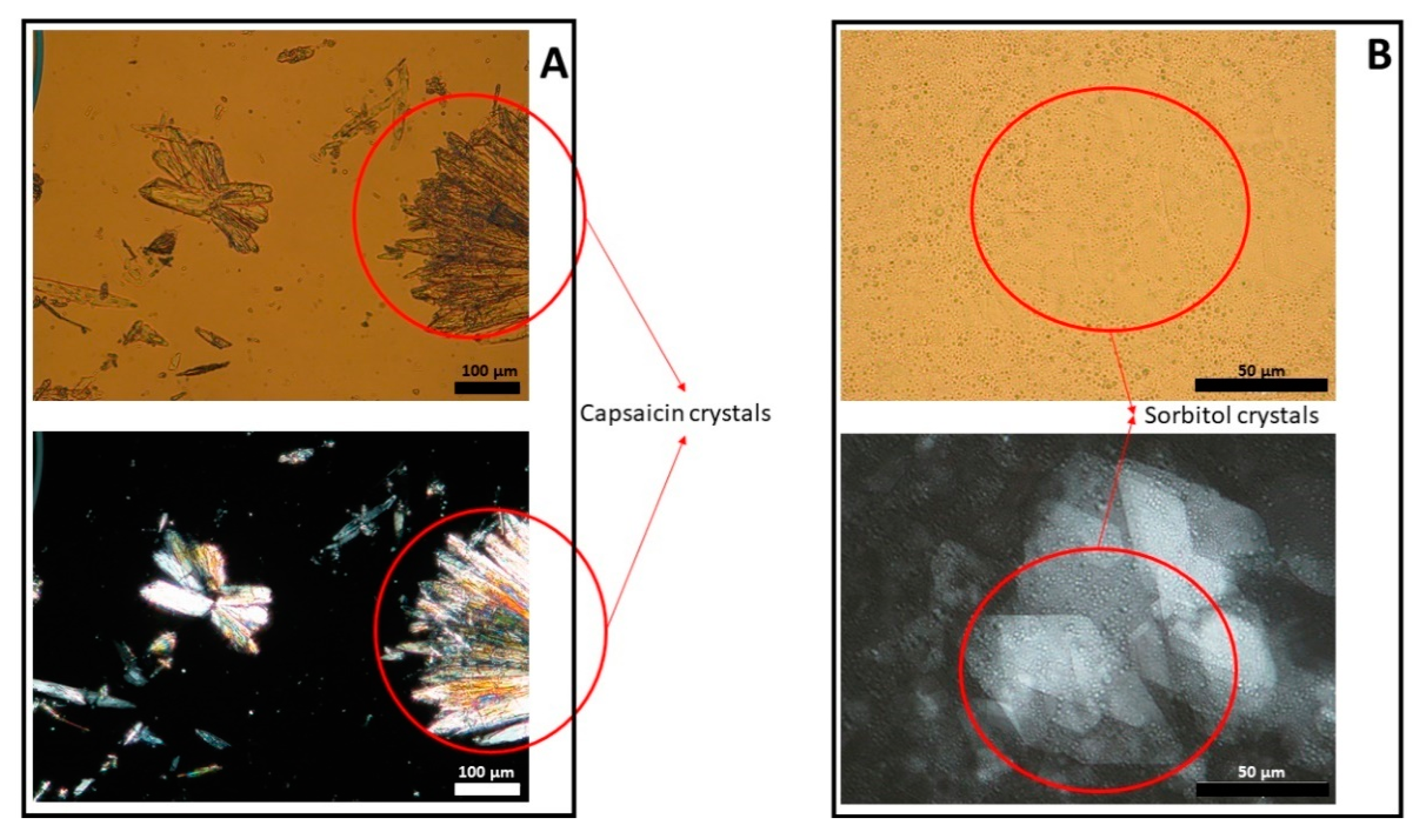Pharmaceutics 13 02083 g004