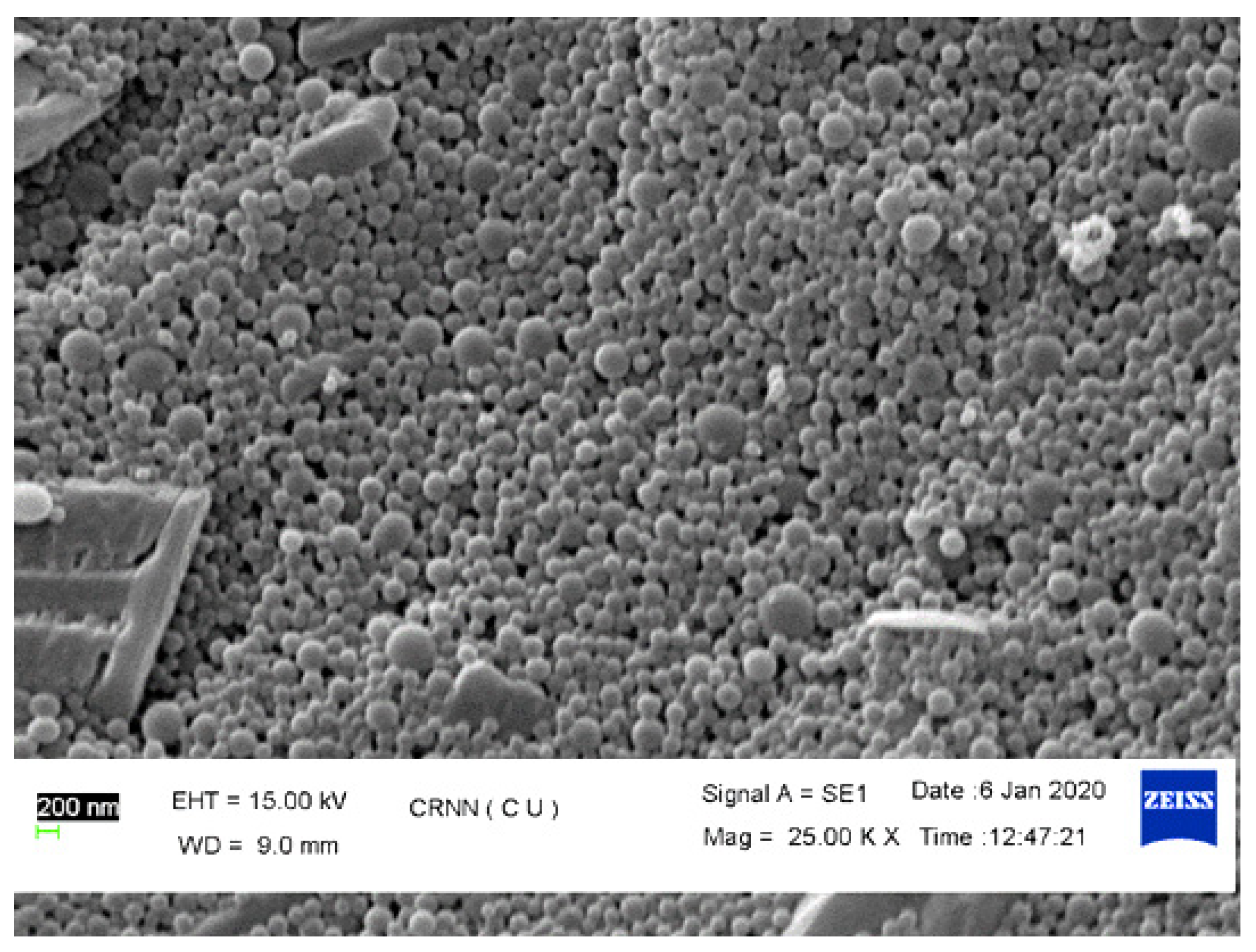 Pharmaceutics 13 02086 g003