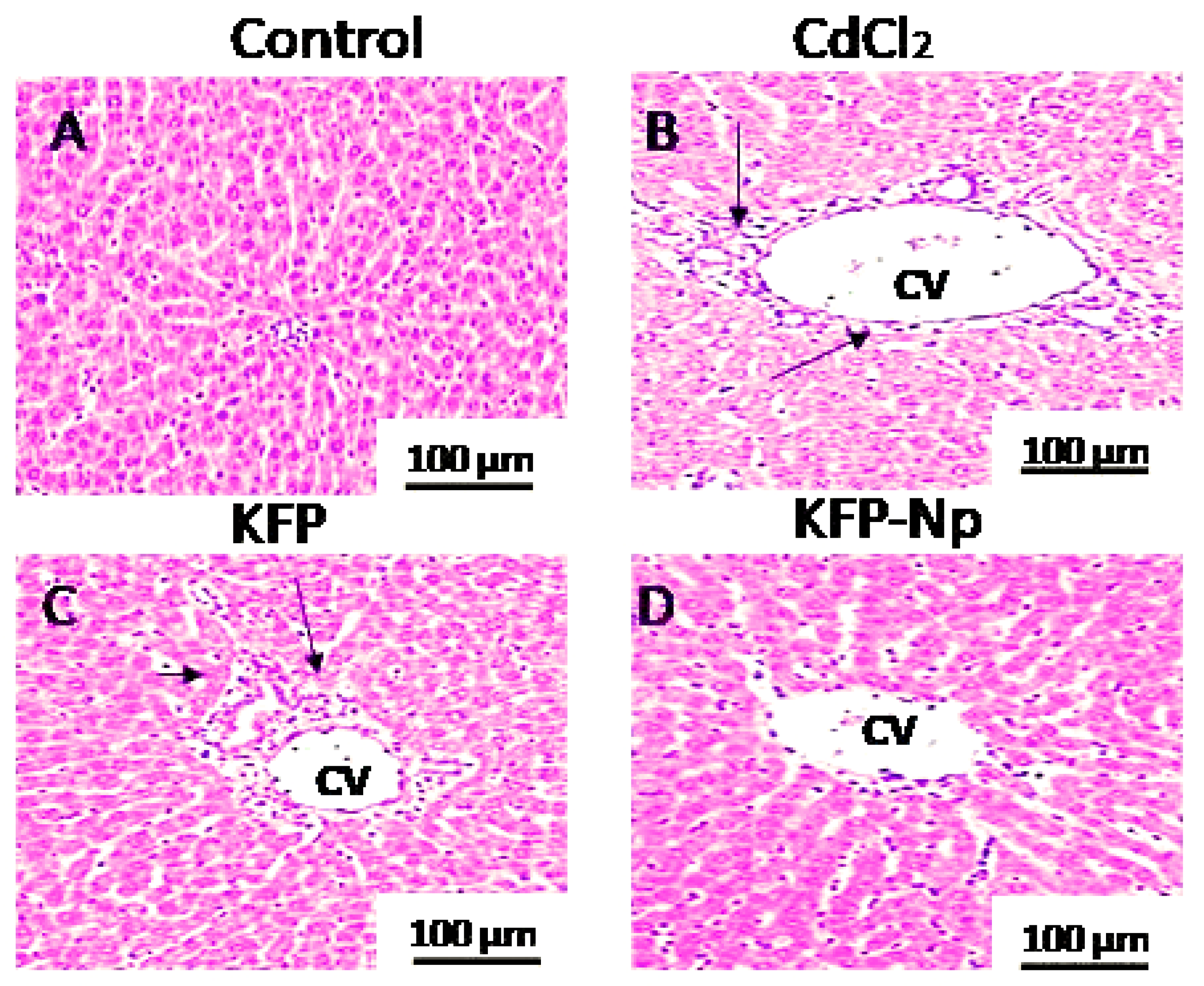 Pharmaceutics 13 02086 g006