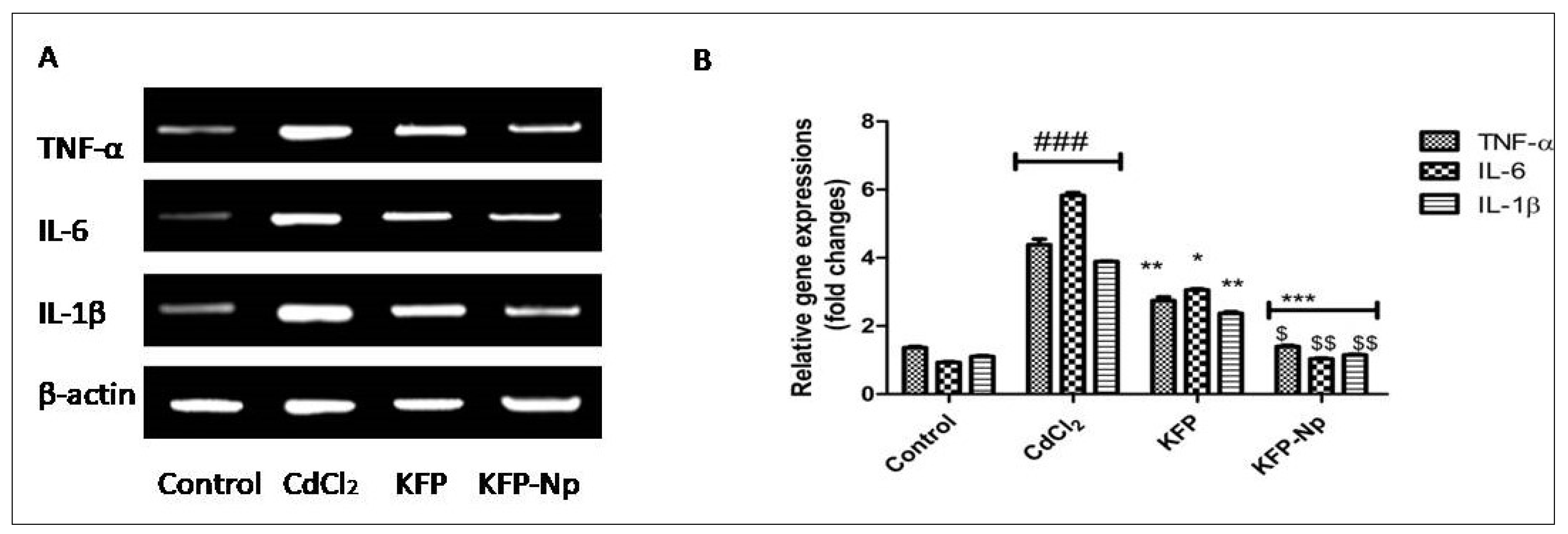 Pharmaceutics 13 02086 g008