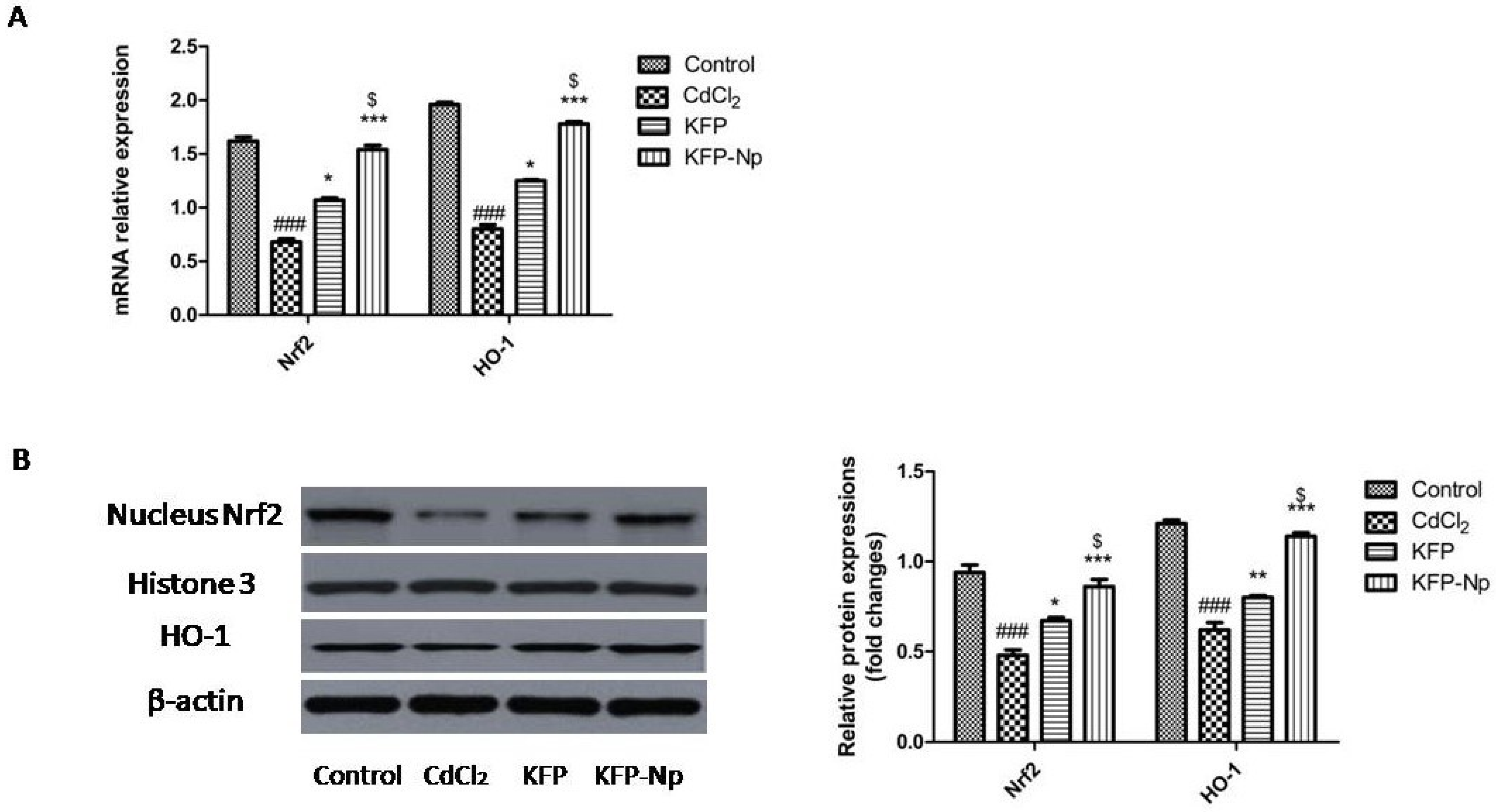 Pharmaceutics 13 02086 g009