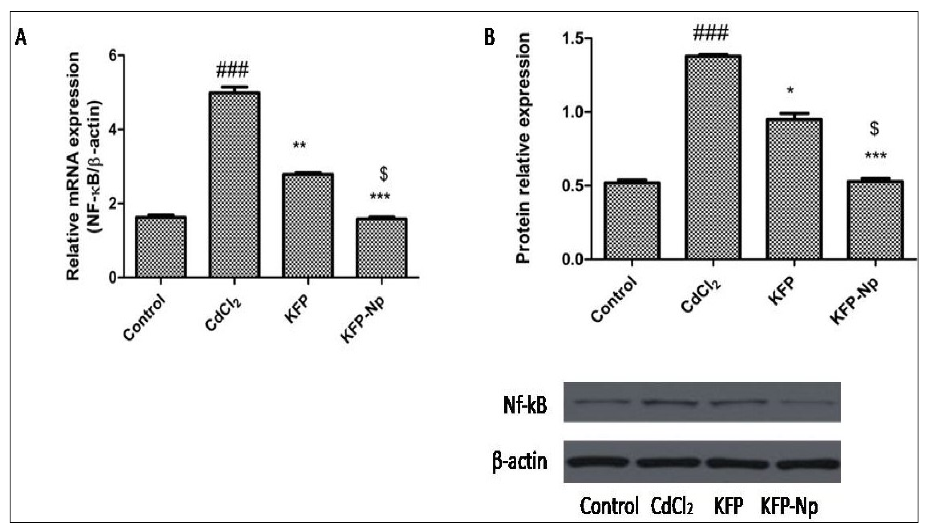Pharmaceutics 13 02086 g010