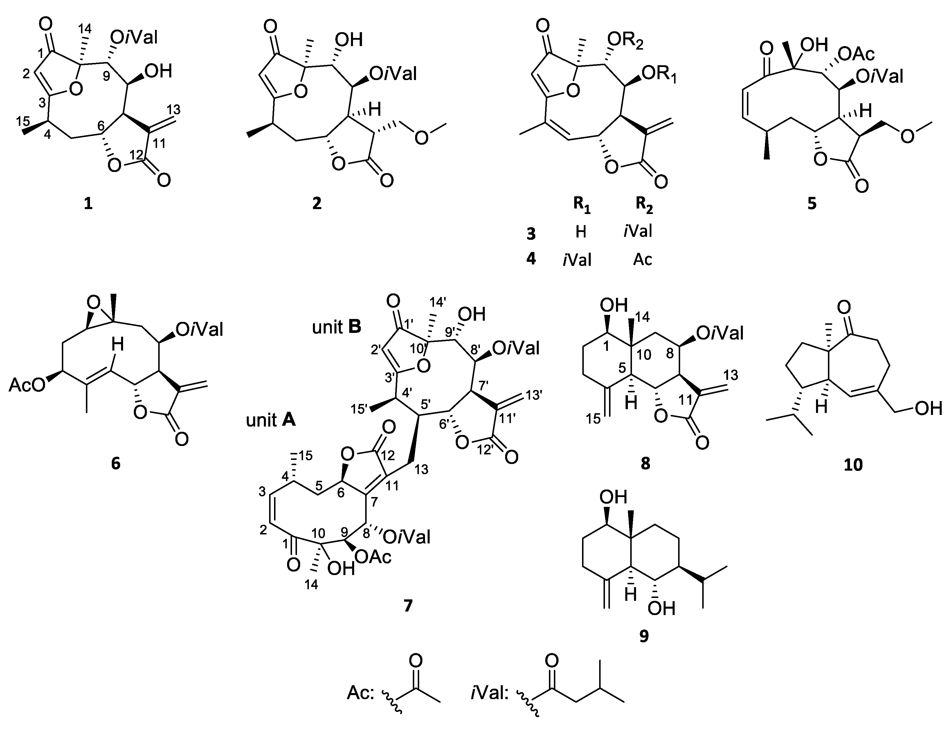 Pharmaceutics 13 02088 g001