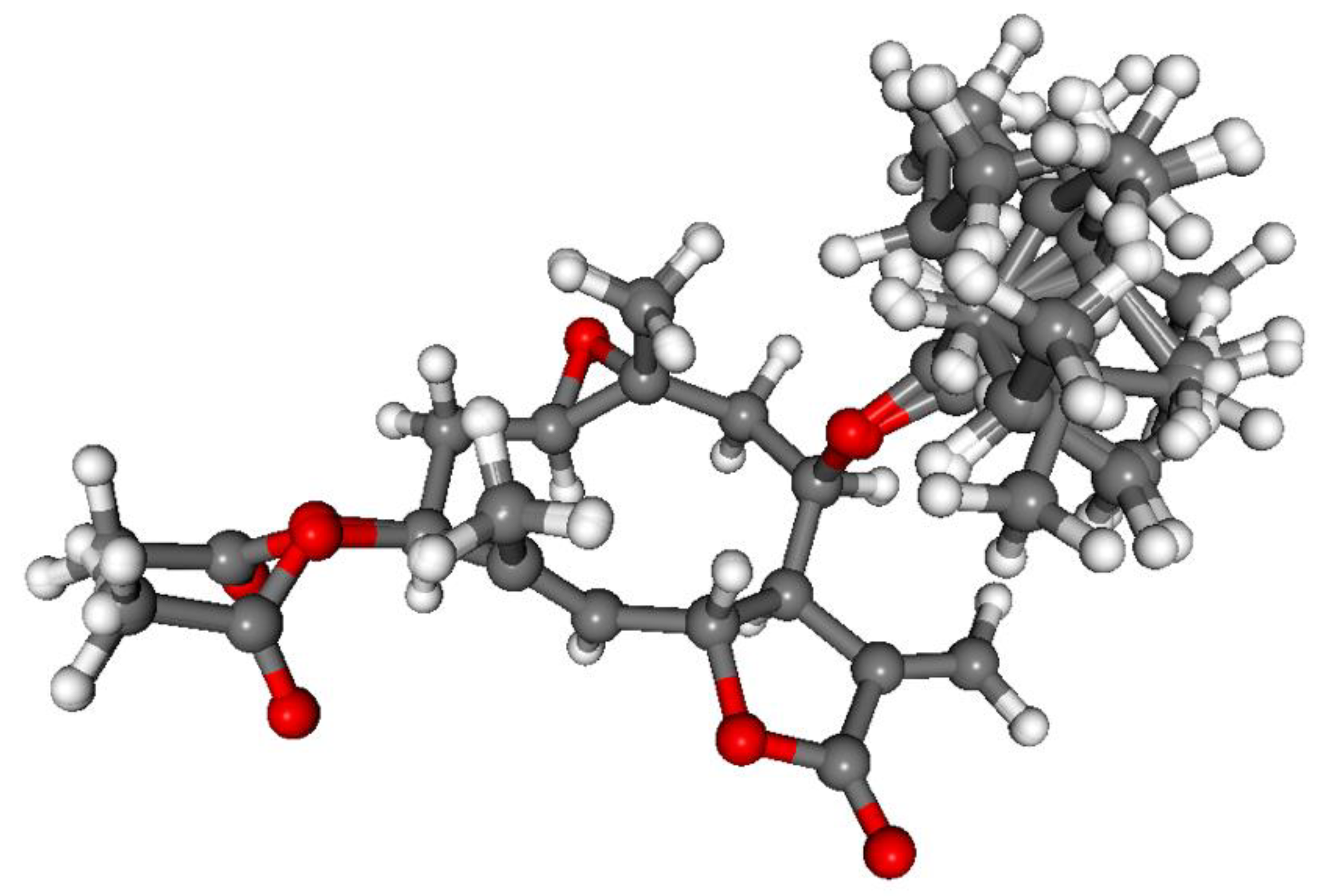 Pharmaceutics 13 02088 g012
