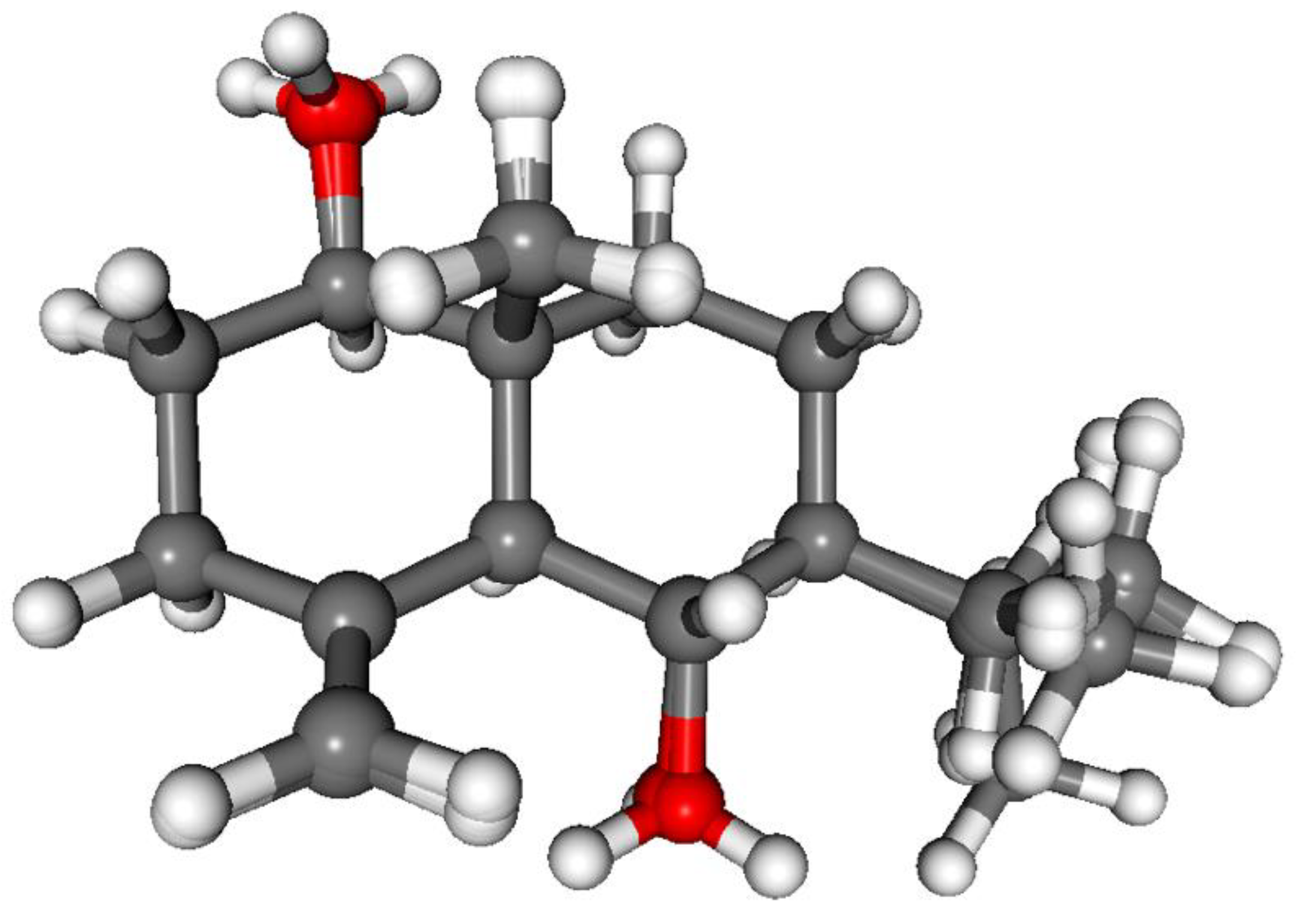 Pharmaceutics 13 02088 g014