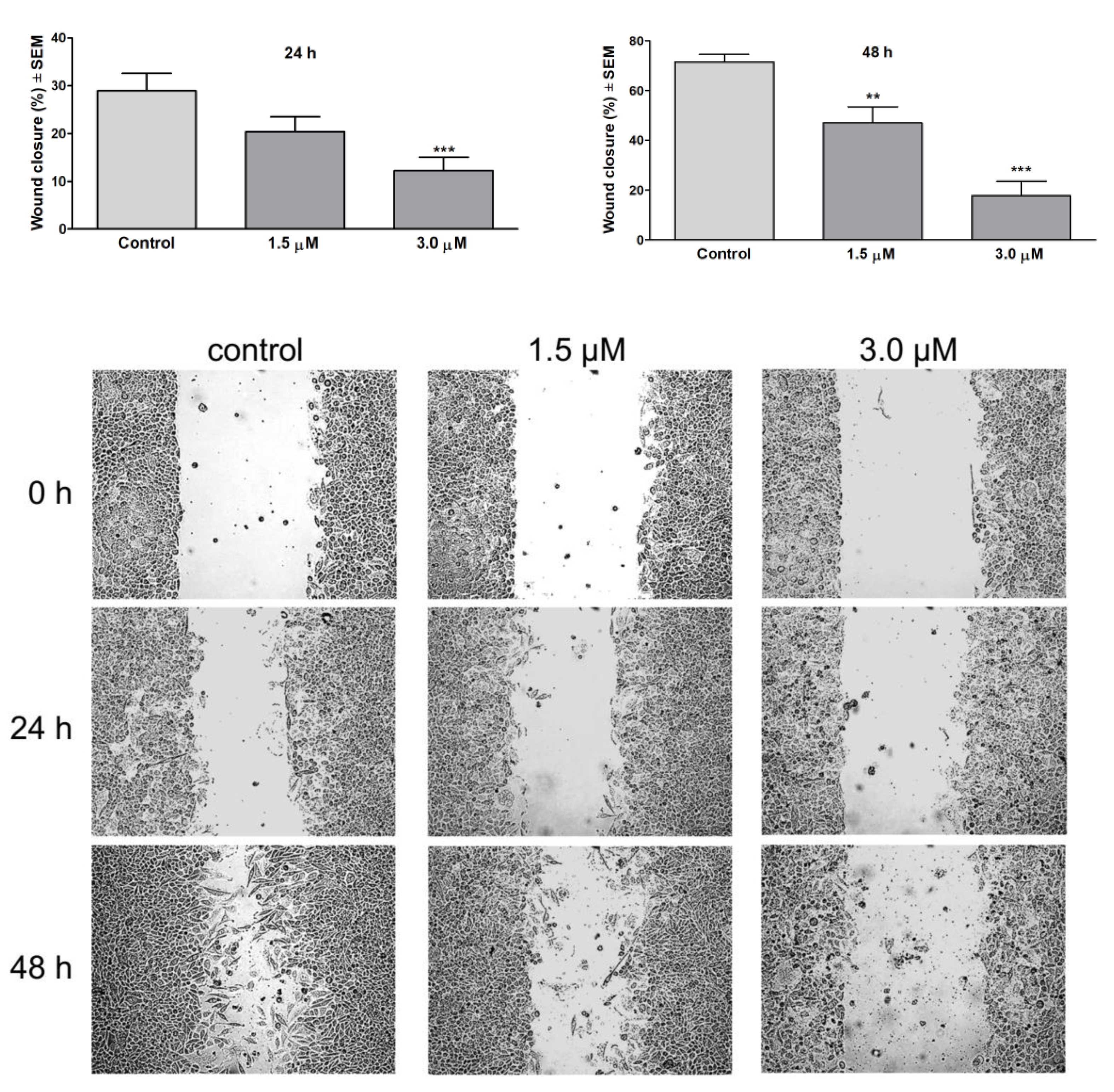 Pharmaceutics 13 02088 g016