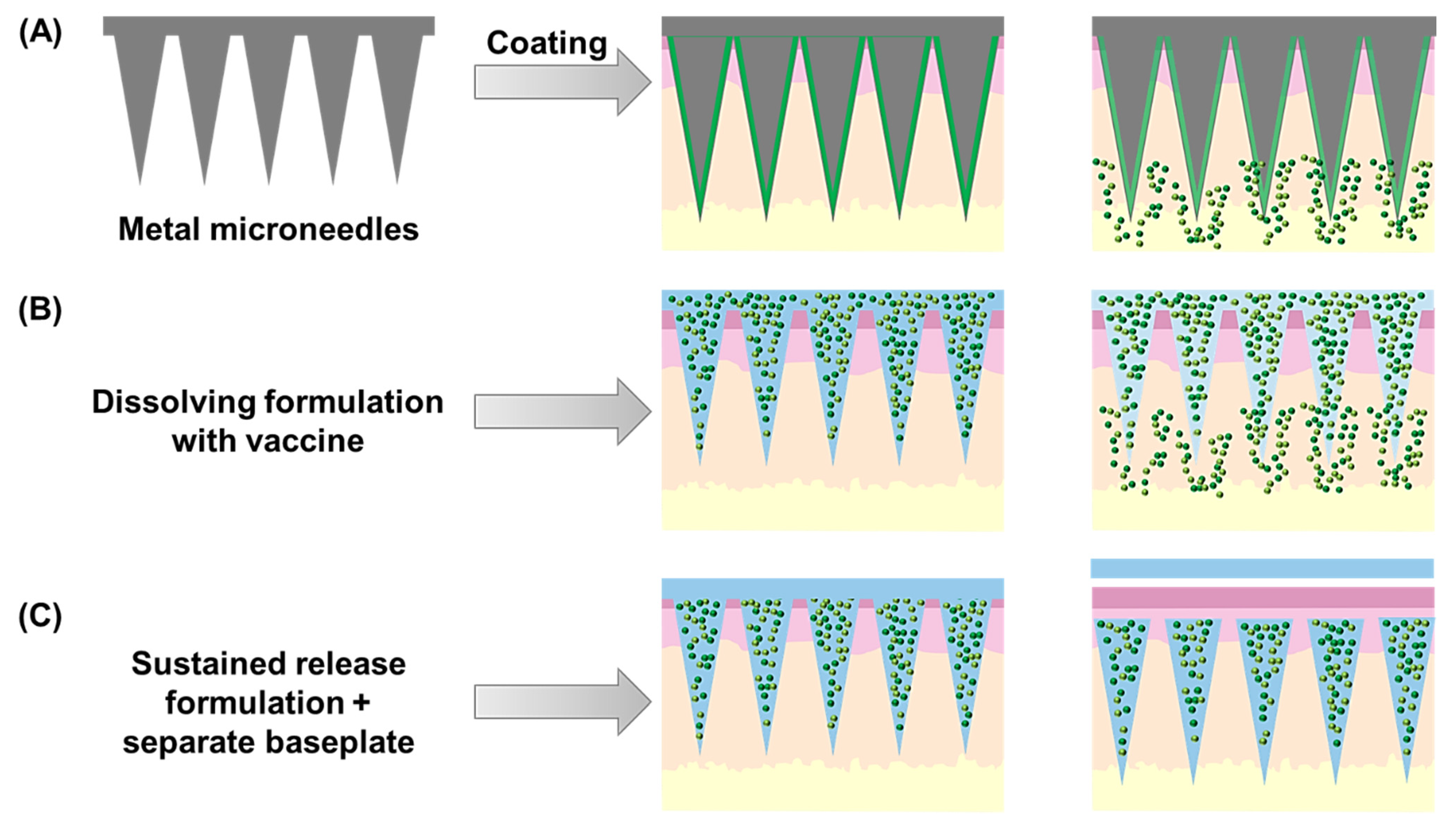 Pharmaceutics 13 02091 g005