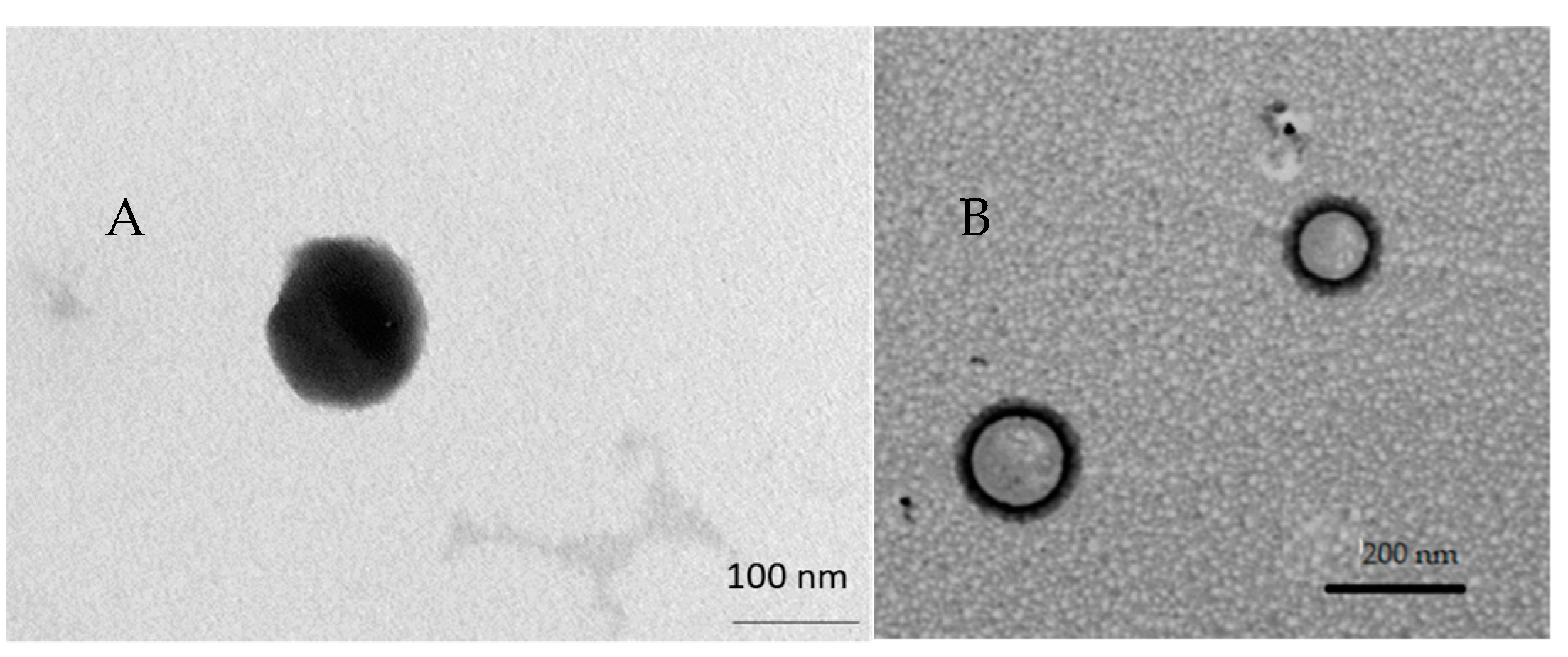 Pharmaceutics 13 02093 g001