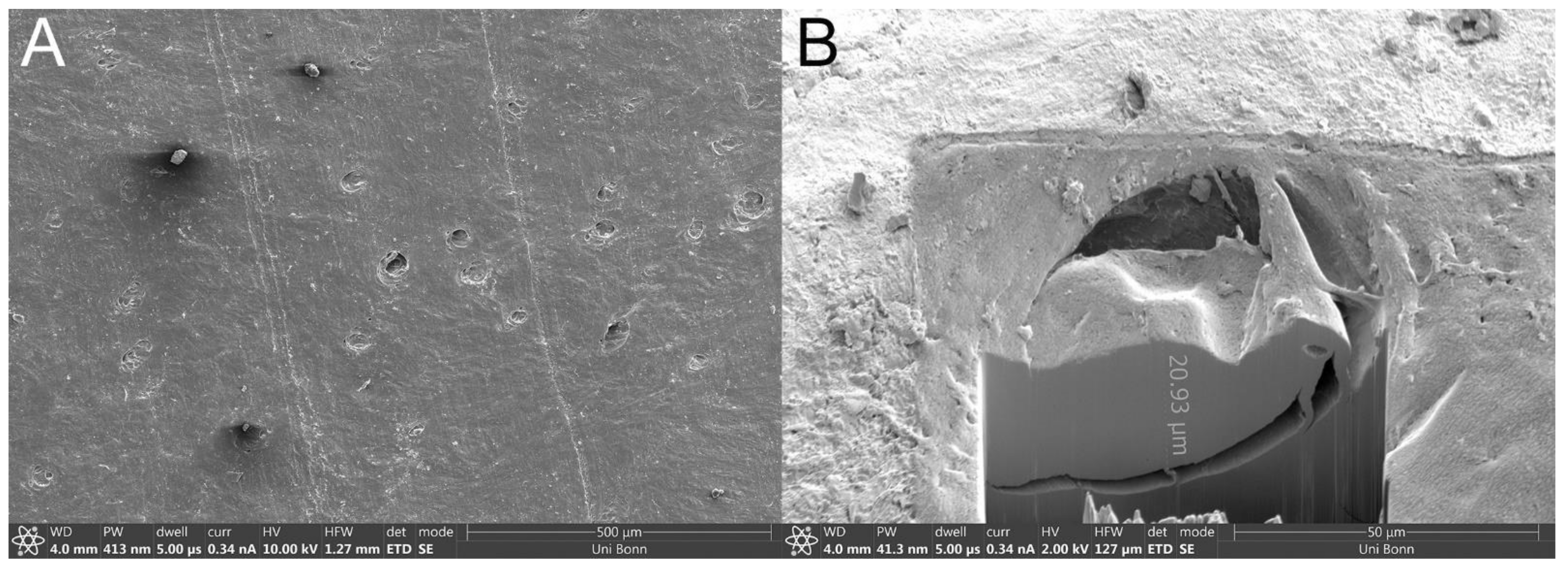 Pharmaceutics 13 02098 g001
