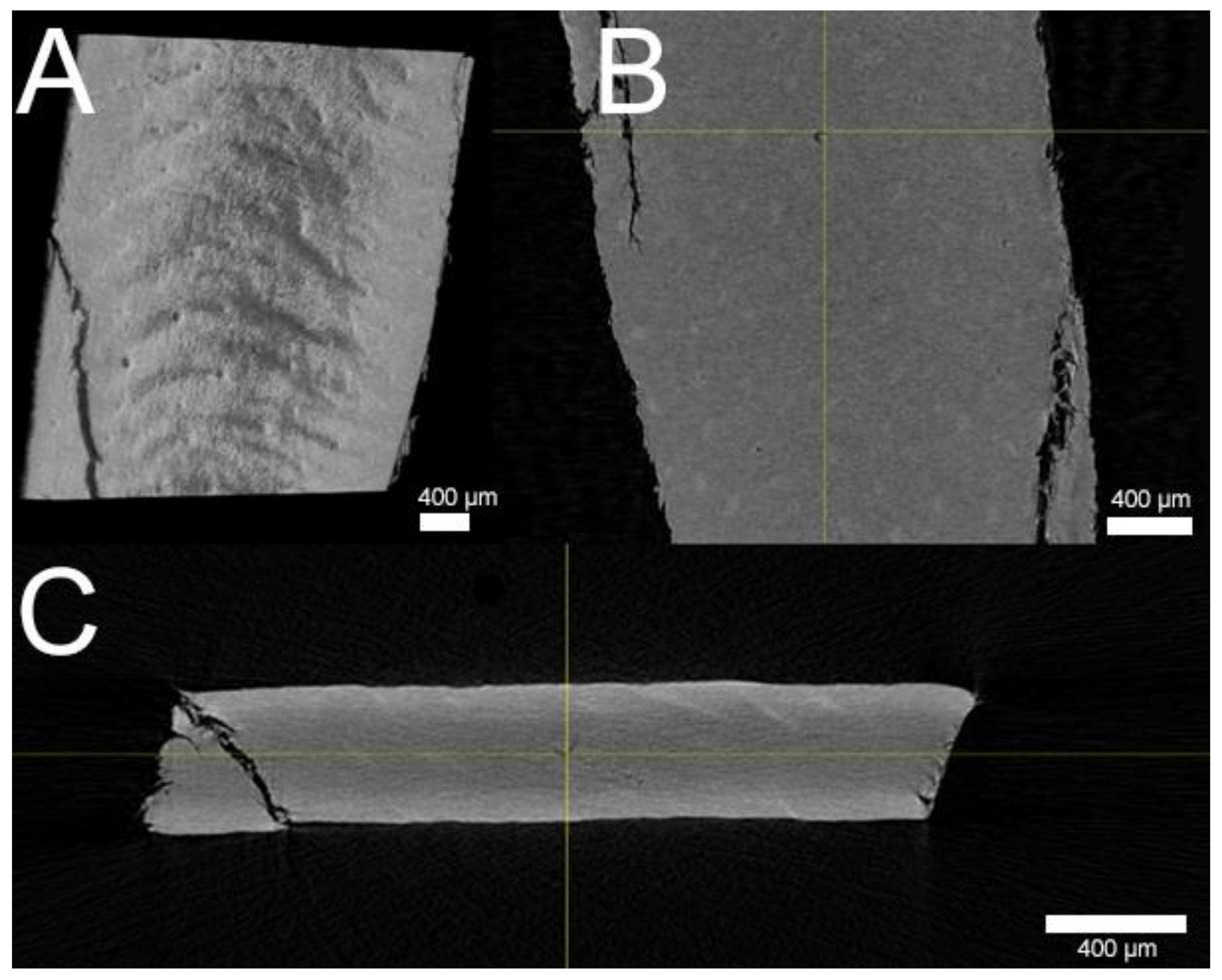 Pharmaceutics 13 02098 g002
