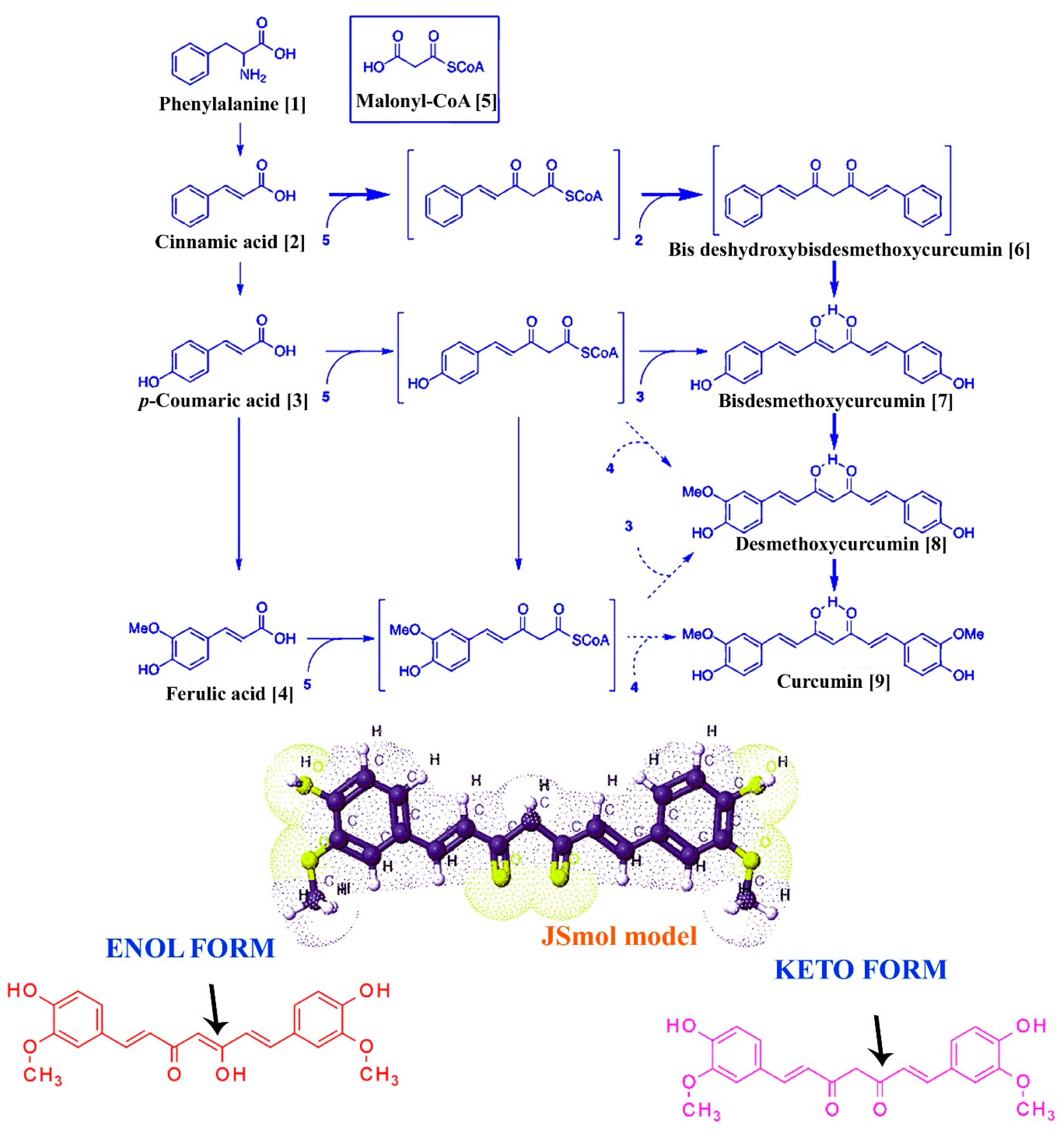 Pharmaceutics 13 02102 g001