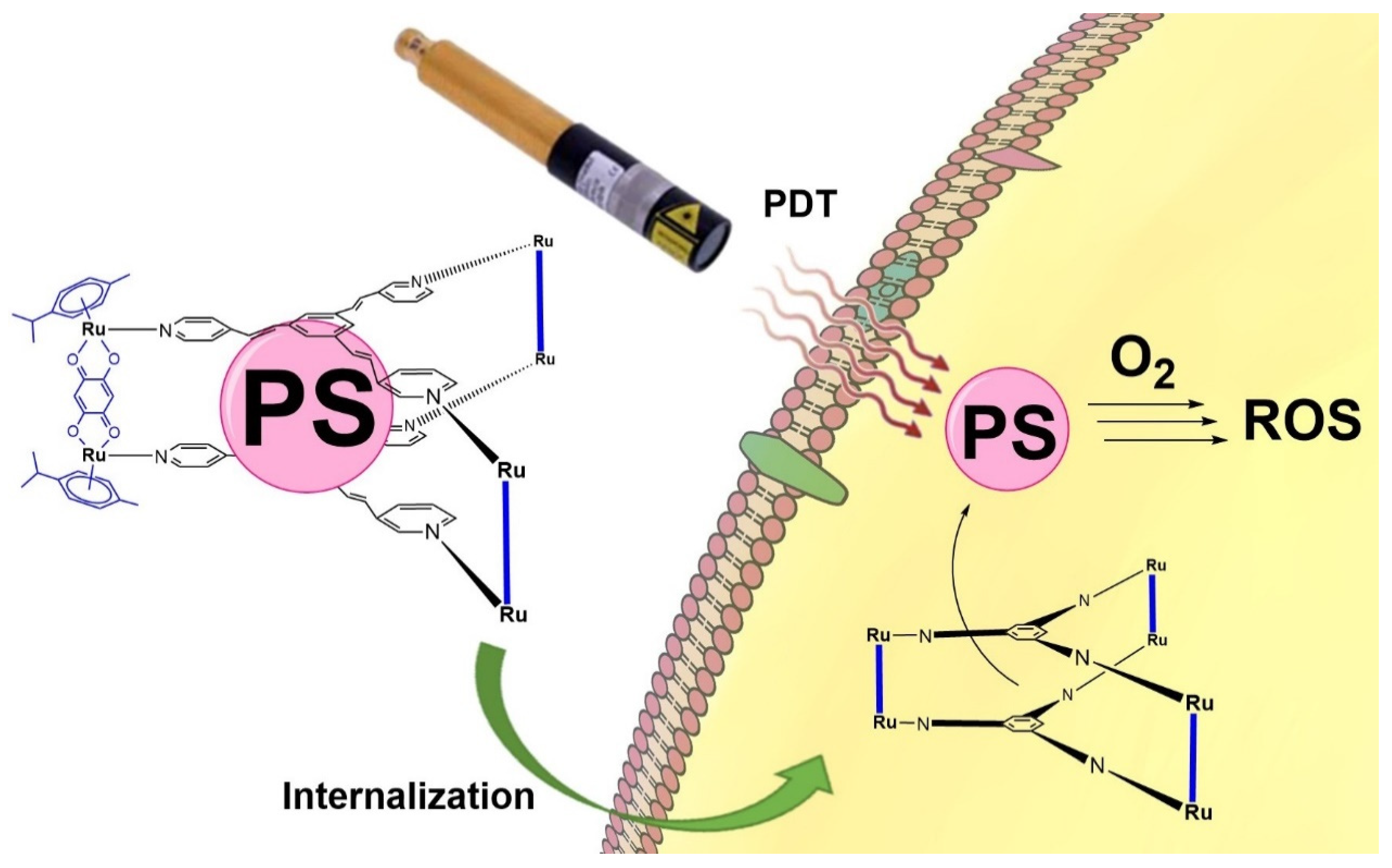 Pharmaceutics 13 02104 g001
