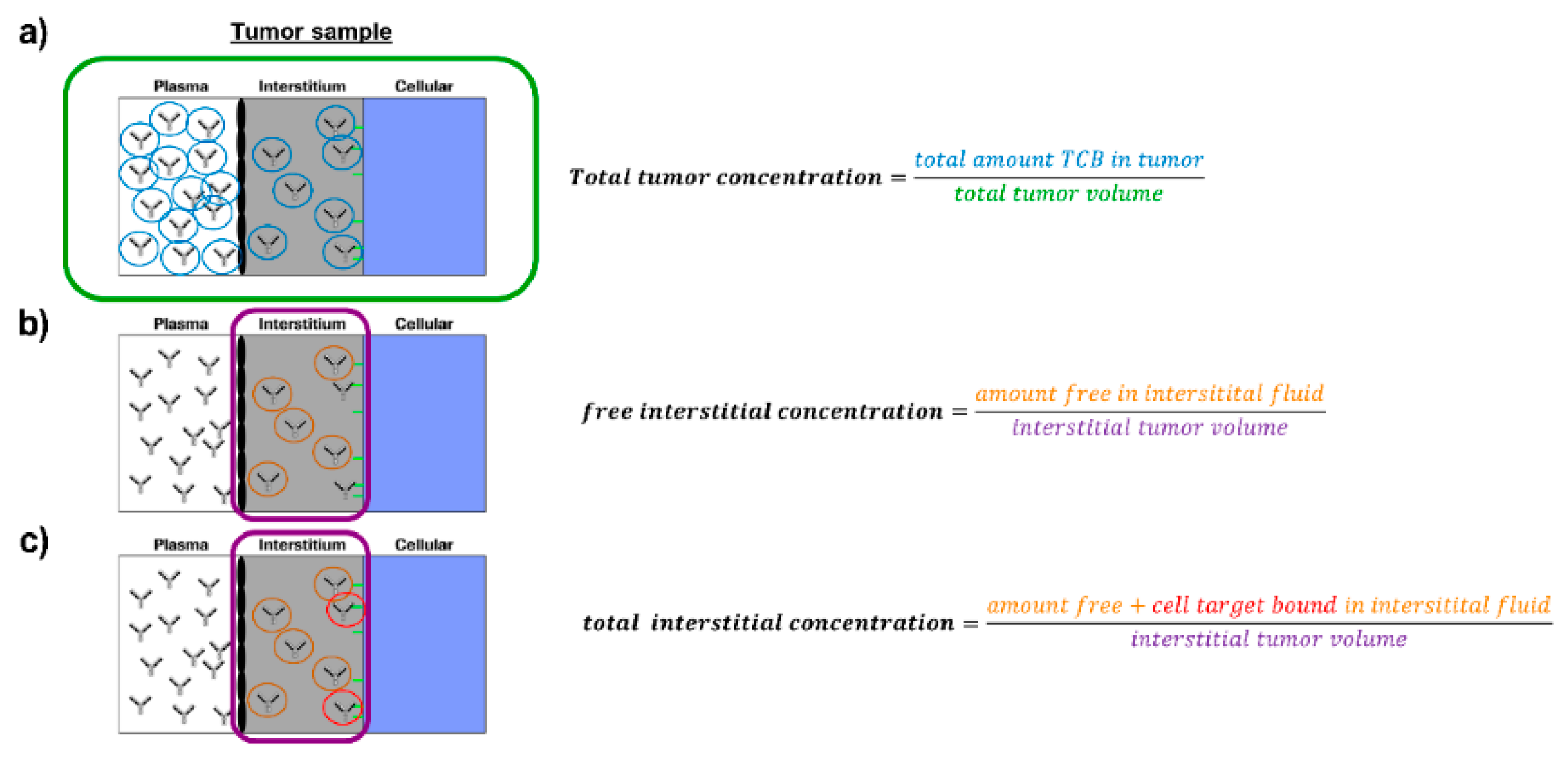 Pharmaceutics 13 02105 g001