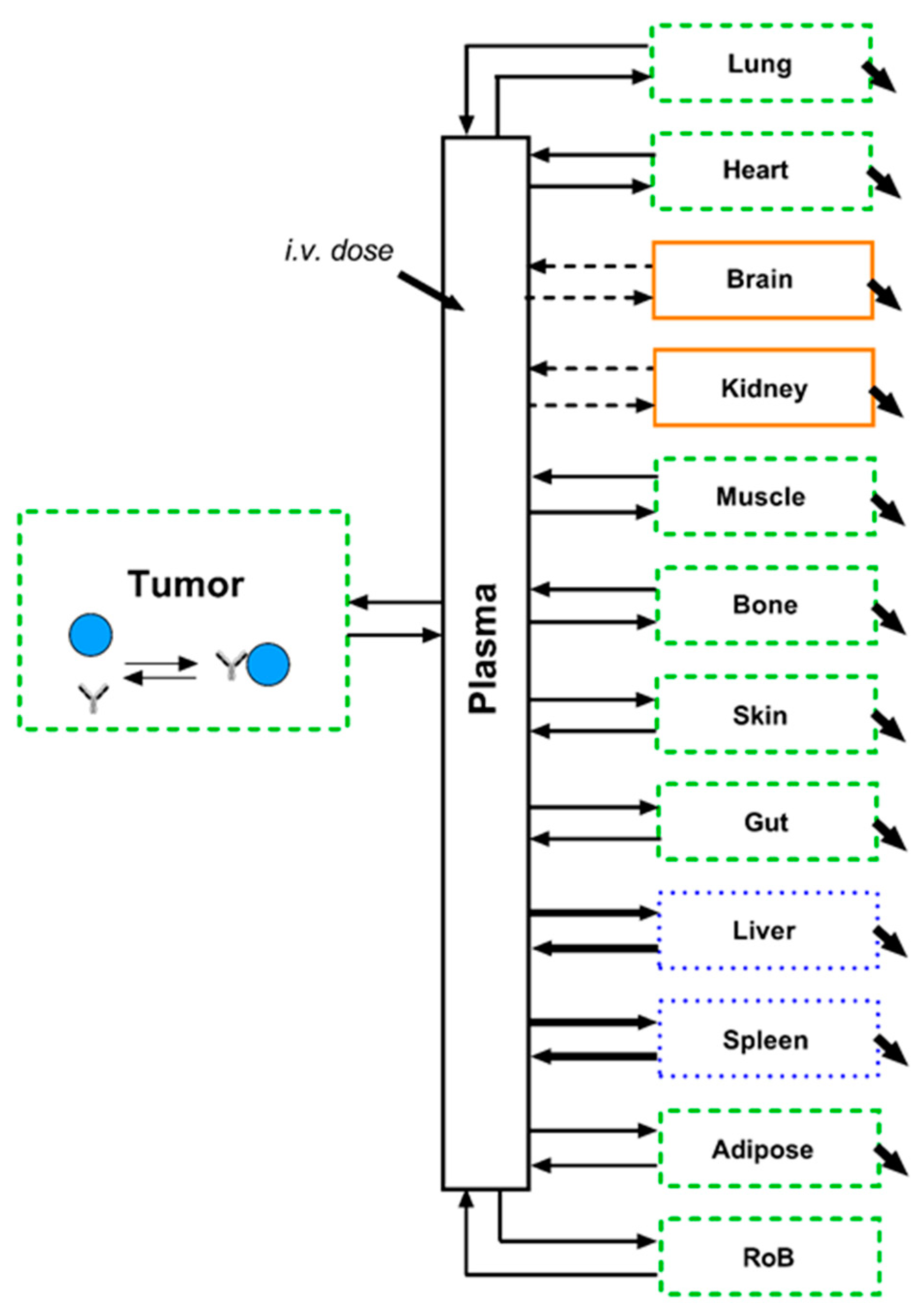 Pharmaceutics 13 02105 g002