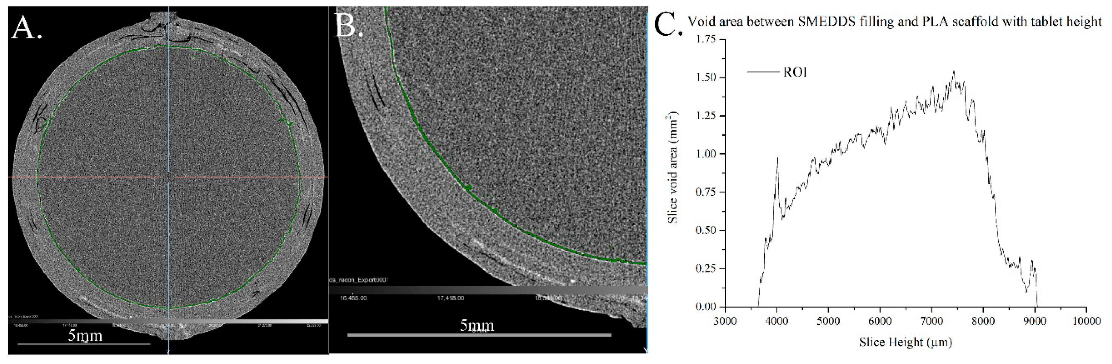 Pharmaceutics 13 02107 g006