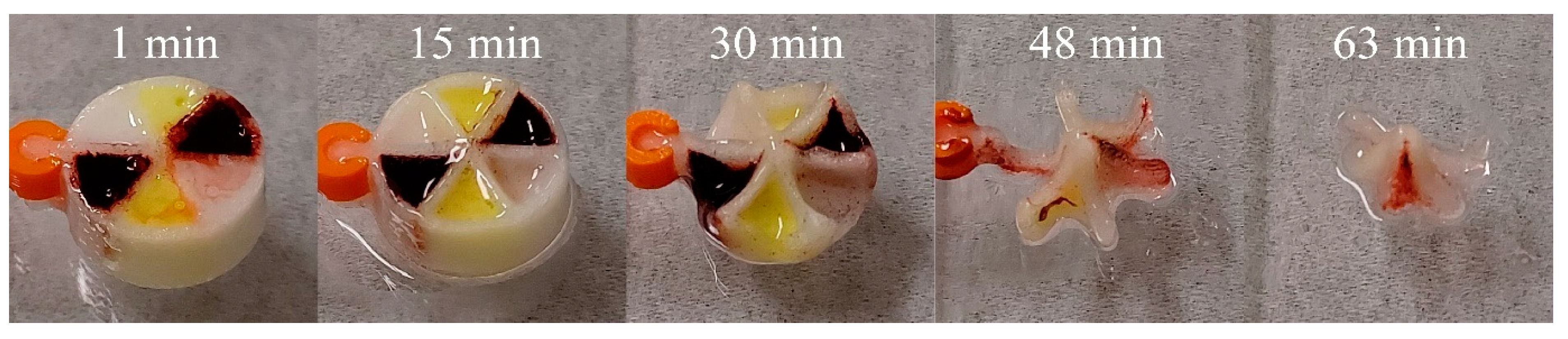 Pharmaceutics 13 02107 g013