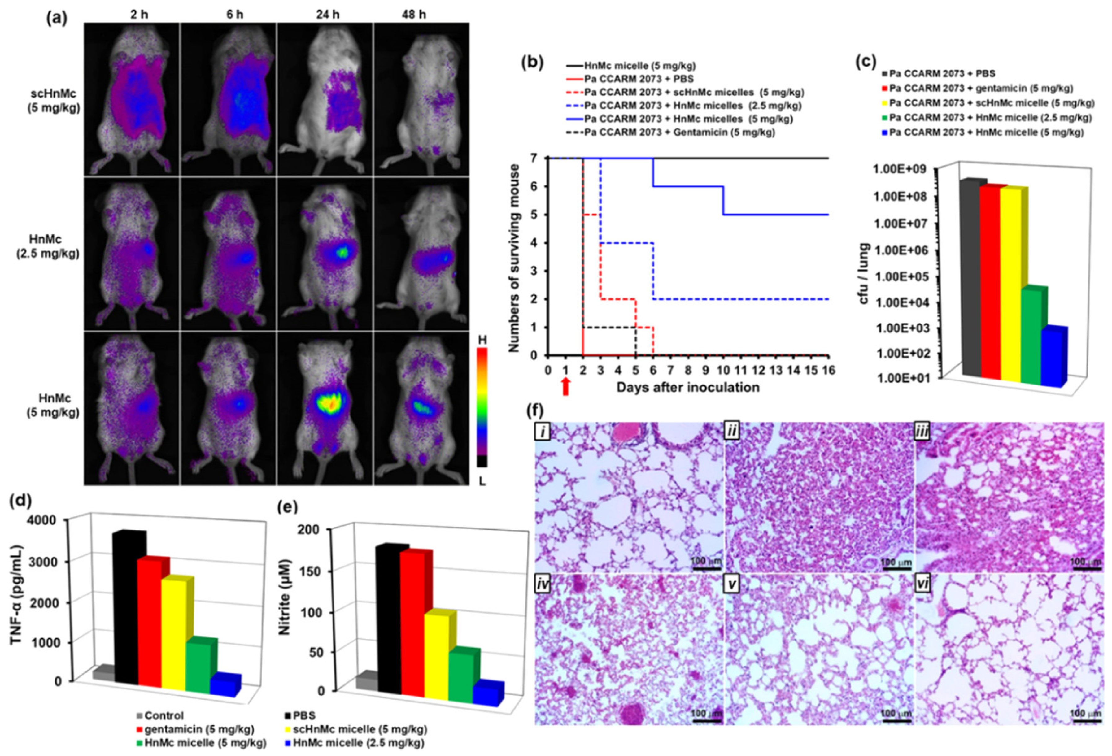 Pharmaceutics 13 02108 g002